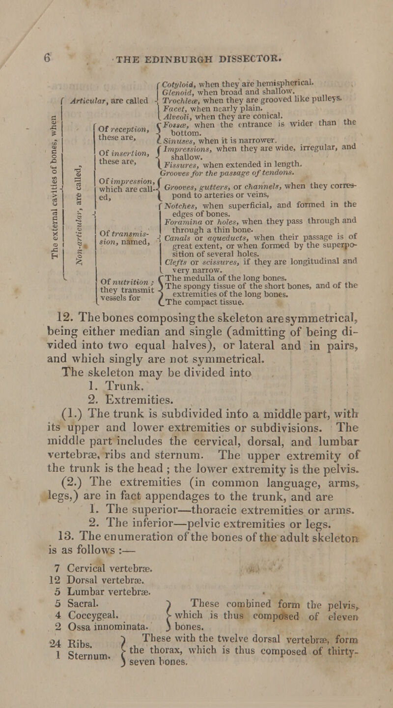 Of reception, these are. Of insertion, these are. JS H ed. Of transmis- sion, named. f Cotyloid, when they are hemispherical. Glenoid, when broad and shallow, f Articular, are called \ Trochlea, when they are grooved like pulleys. 1 Facet, when nearly plain. I Alveoli, when they are conical. rFoMo;, when the entrance is wider than tne < bottom. t Sinuses, when it is narrower. f Impressions, when they are wide, irregular, and < shallow. \_Fissures, when extended in length. Grooves for the passage of tendons. whicffare^au'-f Grooves, gutters, or channels, when they corres- \ pond to arteries or veins, (Notches, when superficial, and formed in the Iedges of bones. Foramina or holes, when they pass through and through a thin bone, -i Canals or aqueducts, when their passage is of Igreat extent, or when formed by the superpo- sition of several holes. Clefts or scissures, if they are longitudinal and I very narrow. r»f rThe medulla of the long bones, thertransmi't 3 The spongy tissue of the short bones, and of the vp«p1<! fr.1- J extremities of the long bones, vessels tor ^.pj^^ compact tissue. 12. Thebones composingthe skeleton are symmetrical, being either median and single (admitting of being di- vided into two equal halves), or lateral and in pairs, and which singly are not symmetrical. The skeleton may be divided into 1. Trunk. 2. Extremities. (1.) The trunk is subdivided into a middle part, with its upper and lower extremities or subdivisions. The middle part includes the cervical, dorsal, and lumbar vertebrae, ribs and sternum. The upper extremity of the trunk is the head ; the lower extremity is the pelvis. (2.) The extremities (in common language, arms, legs,) are in fact appendages to the trunk, and are 1. The superior—thoracic extremities or arms. 2. The inferior—pelvic extremities or legs. 13. The enumeration of the bones of the adult skeleton is as follows :— 7 Cervical vertebrae. 12 Dorsal vertebrse. 5 Lumbar vertebrae. 5 Sacral. ^ These combined form tbe pelvis,. 4 Coccygeal. > which is thus compdfeed of eleven 2 Ossa innominata. y bones. 24 Ribs ? These with the twelve dorsal vertebrae, form 1 «fo,.,l.,rv, e thorax, which is thus composed of thirty- 1 sternum. V seven bones.