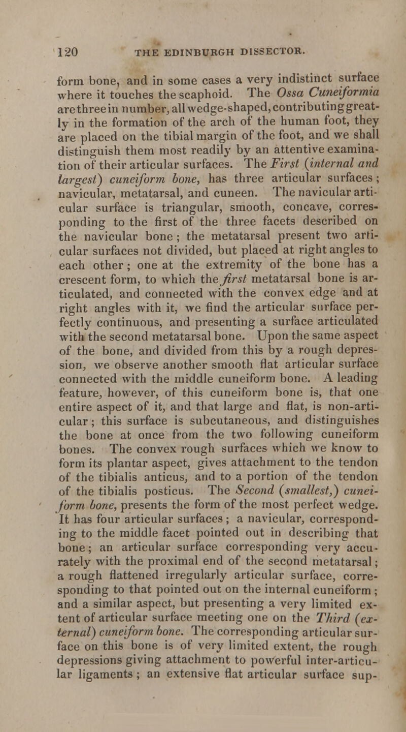 form bone, and in some cases a very indistinct surface where it touches the scaphoid. The Ossa Cuneiformia are three in number, all wedge-shaped, contributing great- ly in the formation of the arch of the human foot, they are placed on the tibial margin of the foot, and we shall distinguish them most readily by an attentive examina- tion of their articular surfaces. The First {internal and largest) cuneiform bone, has three articular surfaces; navicular, metatarsal, and cuneen. The navicular arti- cular surface is triangular, smooth, concave, corres- ponding to the first of the three facets described on the navicular bone; the metatarsal present two arti- cular surfaces not divided, but placed at right angles to each other; one at the extremity of the bone has a crescent form, to which the first metatarsal bone is ar- ticulated, and connected with the convex edge and at right angles with it, we find the articular surface per- fectly continuous, and presenting a surface articulated with the second metatarsal bone. Upon the same aspect of the bone, and divided from this by a rough depres- sion, we observe another smooth flat articular surface connected with the middle cuneiform bone. A leading feature, however, of this cuneiform bone is, that one entire aspect of it, and that large and flat, is non-arti- cular ; this surface is subcutaneous, and distinguishes the bone at once from the two following cuneiform bones. The convex rough surfaces which we know to form its plantar aspect, gives attachment to the tendon of the tibialis anticus, and to a portion of the tendon of the tibialis posticus. The Second {smallest,) cunei- form bone, presents the form of the most perfect wedge. It has four articular surfaces; a navicular, correspond- ing to the middle facet pointed out in describing that bone; an articular surface corresponding very accu- rately with the proximal end of the second metatarsal; a rough flattened irregularly articular surface, corre- sponding to that pointed out on the internal cuneiform ; and a similar aspect, but presenting a very limited ex- tent of articular surface meeting one on the Third {ex- ternal) cuneiform bone. The corresponding articular sur- face on this bone is of very limited extent, the rough depressions giving attachment to powerful inter-articu- lar ligaments ; an extensive flat articular surface sup-