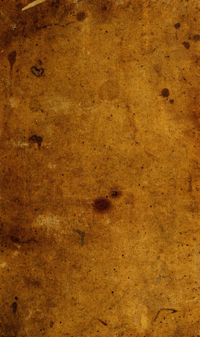 No text description is available for this image