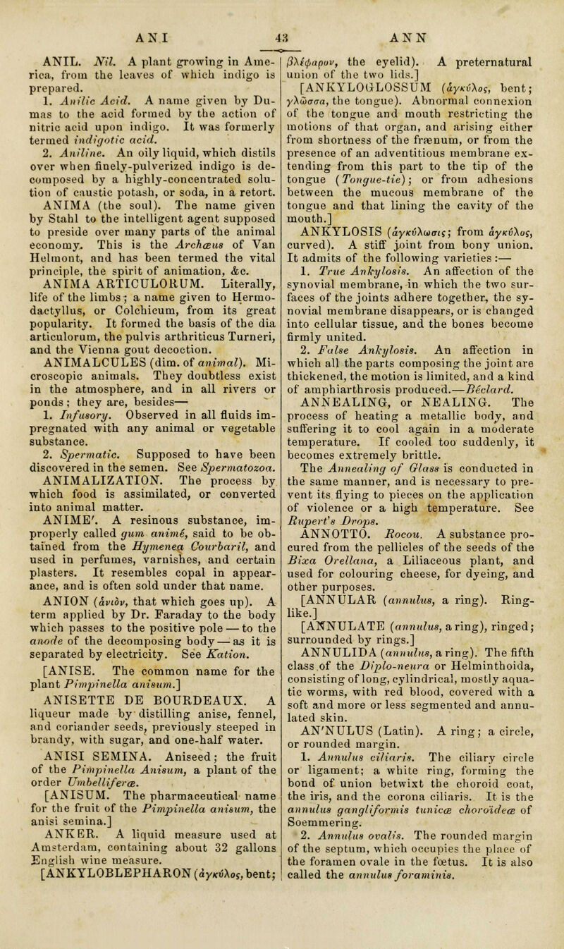 ANIL. Nil. A plant growing in Ame- rica, from the leaves of which indigo is prepared. 1. Anilic Acid. A name given by Du- mas to the acid formed by the action of nitric acid upon indigo. It was formerly termed indigotic acid. 2. Aniline. An oily liquid, which distils over when finely-pulverized indigo is de- composed by a highly-concentrated solu- tion of caustic potash, or soda, in a retort. ANIMA (the soul). The name given by Stahl to the intelligent agent supposed to preside over many parts of the animal economy. This is the Archceus of Van Helmont, and has been termed the vital principle, the spirit of animation, <fcc. ANIMA ARTICULORUM. Literally, life of the limbs; a name given to Hermo- dactyllus, or Colchicum, from its great popularity. It formed the basis of the dia articulorum, the pulvis arthriticus Turneri, and the Vienna gout decoction. ANIMALCULES (dim. of animal). Mi- croscopic animals. They doubtless exist in the atmosphere, and in all rivers or ponds ; they are, besides— 1. Infusory. Observed in all fluids im- pregnated with any animal or vegetable substance. 2. Spermatic. Supposed to have been discovered in the semen. See Spermatozoa. ANIMALIZATION. The process by which food is assimilated, or converted into animal matter. ANIME'. A resinous substance, im- properly called gum anime, said to be ob- tained from the Hymenea Gourbaril, and used in perfumes, varnishes, and certain plasters. It resembles copal in appear- ance, and is often sold under that name. ANION (avibv, that which goes up). A term applied by Dr. Faraday to the body which passes to the positive pole — to the anode of the decomposing body — as it is separated by electricity. See Ration. [ANISE. The common name for the plant Pimpinella anisumJ] ANISETTE DE BOURDEAUX. A liqueur made by distilling anise, fennel, and coriander seeds, previously steeped in brandy, with sugar, and one-half water. ANISI SEMINA. Aniseed; the fruit of the Pimpinella Anisum, a plant of the order Umbelliferce. [ANISUM. The pharmaceutical name for the fruit of the Pimpinella anisum, the anisi semina.] ANKER. A liquid measure used at Amsterdam, containing about 32 gallons English wine measure. [ANKYLOBLEPHARON (&yKv\oS, bent; (iXicpapov, the eyelid). A preternatural union of the two lids.] [ANKYLOULOSSUM (hyKvXos, bent; yAwfftra, the tongue). Abnormal connexion of the tongue and mouth restricting the motions of that organ, and arising either from shortness of the fraenum, or from the presence of an adventitious membrane ex- tending from this part to the tip of the tongue [Tongue-tie); or from adhesions between the mucous membrane of the tongue and that lining the cavity of the mouth.] ANKYLOSIS (ay/cuAuxn?; from ayKv\os, curved). A stiff joint from bony union. It admits of the following varieties:— 1. True Ankylosis. An affection of the synovial membrane, in which the two sur- faces of the joints adhere together, the sy- novial membrane disappears, or is changed into cellular tissue, and the bones become firmly united. 2. Pulse Ankylosis. An affection in which all the parts composing the joint are thickened, the motion is limited, and a kind of amphiarthrosis produced.—Beclard. ANNEALING, or NEALING. The process of heating a metallic body, and suffering it to cool again in a moderate temperature. If cooled too suddenly, it becomes extremely brittle. The Annealing of Glass is conducted in the same manner, and is necessary to pre- vent its flying to pieces on the application of violence or a high temperature. See Rupert's Drops. ANNOTTO. Rocou. A substance pro- cured from the pellicles of the seeds of the Bixa Orellana, a Liliaceous plant, and used for colouring cheese, for dyeing, and other purposes. [ANNULAR (annulus, a ring). Ring- like.] [ANNULATE (anmdus, a ring), ringed; surrounded by rings.] ANNULIDA (anmdus, a ring). The fifth class of the Diplo-neura or Helminthoida, consisting of long, cylindrical, mostly aqua- tic worms, with red blood, covered with a soft and more or less segmented and annu- lated skin. AN'NULUS (Latin). A ring; a circle, or rounded margin. 1. Annulus ciliaris. The ciliary circle or ligament; a white ring, forming the bond of union betwixt the choroid coat, the iris, and the corona ciliaris. It is the annulus gangliformis tunicce choroidece of Soemmering. 2. Annulus ovalis. The rounded margin of the septum, which occupies the place of the foramen ovale in the foetus. It is also called the annulus foraminis.