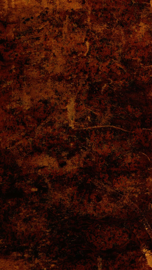 digitised image 2