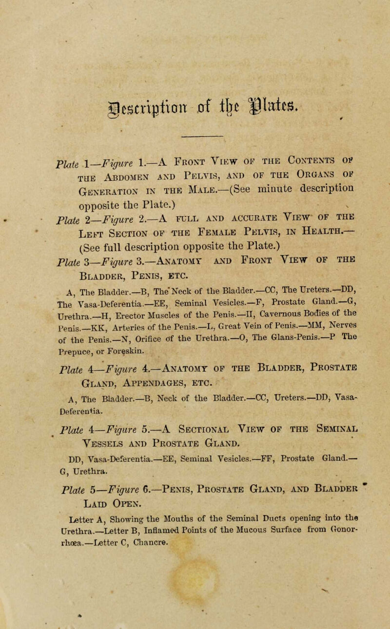 \mtx\$xaxi oi ibt $Mm, Plate 1—Figure 1.—A Front View of the Contents op tue Abdomen and Pelvis, and of the Organs of Generation in the Male.—(See minute description opposite the Plate.) Plate 2—Figure 2.—A full and accurate View of the Left Section of the Female Pelvis, in Health.— (See full description opposite the Plate.) Plate 3—Figure 3.—Anatomt and Front View of the Bladder, Penis, etc. A, The Bladder.—B, The'Neck of the Bladder.—CC, The Ureters.—DD, The Vasa-Deferentia.—EE, Seminal Vesicles—F, Prostate Gland.—G, Urethra.—H, Erector Muscles of the Penis.—II, Cavernous Bodies of the Penis.—KK, Arteries of the Penis.—L, Great Vein of Penis.—MM, Nerves of the Penis.—N, Orifice of the Urethra.—0, The Glans-Penis.—P The Prepuce, or Foreskin. Plate 4—Figure 4.—Anatomy of the Bladder, Prostate Gland, Appendages, etc. A, The Bladder.—B, Neck of the Bladder.—CC, Ureters.—DD, Vasa- Deferentia. Plate 4—Figure 5.—A Sectional View of the Seminal Vessels and Prostate Gland. DD, Vasa-Deferentia.—EE, Seminal Vesicles.—FF, Prostate Gland.— G, Urethra. Plate 5—Figure 6.—Penis, Prostate Gland, and Bladder Laid Open. Letter A, Showing the Mouths of the Seminal Ducts opening into the Urethra.—Letter B, Inflamed Points of the Mucous Surface from Gonor- rhoea.—Letter C, Chancre.