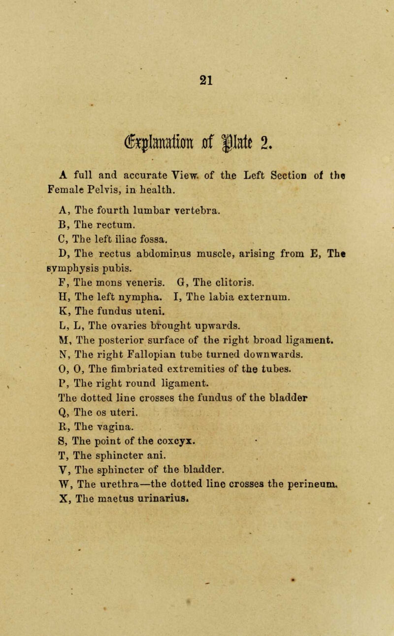 ^lanafiim at |Iaie 2. A full and accurate View, of the Left Section of the Female Pelvis, in health. A, The fourth lumbar vertebra. B, The rectum. C, The left iliac fossa. D, The rectus abdominus muscle, arising from E, The symphysis pubis. F, The mons veneris. G, The clitoris. H, The left nympha. I, The labia externum. K, The fundus uteni. L, L, The ovaries brought upwards. M, The posterior surface of the right broad ligament. N, The right Fallopian tube turned downwards. 0, 0, The fimbriated extremities of the tubes. P, The right round ligament. The dotted line crosses the fundus of the bladder Q, The os uteri. K, The vagina. 8, The point of the coxcyx. T, The sphincter ani. V, The sphincter of the bladder. W, The urethra—the dotted line crosses the perineum. X, The maetus urinarius.