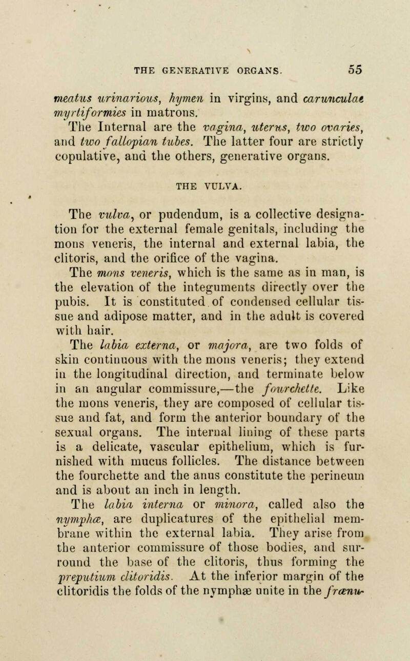 meatus urinarious, hymen in virgins, and caruneulae myrliformies in matrons. The Internal are the vagina, uterus, two ovaries, and two fallopian tubes. The latter four are strictly copulative, and the others, generative organs. THE VULVA. The vulva, or pudendum, is a collective designa- tion for the external female genitals, including the mons veneris, the internal and external labia, the clitoris, and the orifice of the vagina. The mons veneris, which is the same as in man, is the elevation of the integuments directly over the pubis. It is constituted of condensed cellular tis- sue and adipose matter, and in the adult is covered with hair. The labia externa, or majora, are two folds of skin continuous with the mons veneris; they extend iu the longitudinal direction, and terminate below in an angular commissure,—the fourckette. Like the mons veneris, they are composed of cellular tis- sue and fat, and form the anterior boundary of the sexual organs. The internal lining of these parts is a delicate, vascular epithelium, which is fur- nished with mucus follicles. The distance between the fourchette and the anus constitute the perineum and is about an inch in length. The labia interna or minora, called also the nymp/ue, are duplicatures of the epithelial mem- brane within the external labia. They arise from the anterior commissure of those bodies, and sur- round the base of the clitoris, thus forming the preputium clitoridis. At the inferior margin of the clitoridis the folds of the nymphae unite in the j'rcenn-