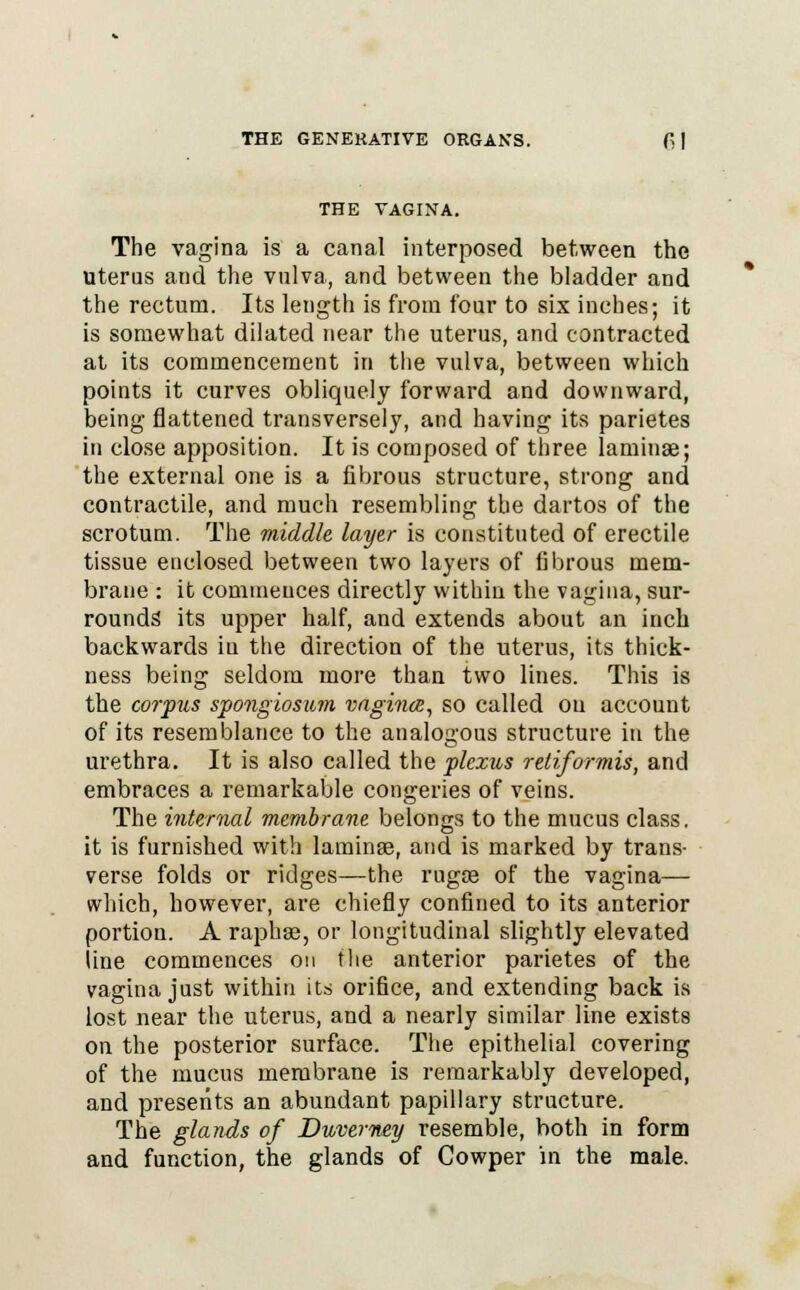 THE VAGINA. The vagina is a canal interposed between the uterus and the vulva, and between the bladder and the rectum. Its length is from four to six inches; it is somewhat dilated near the uterus, and contracted at its commencement in the vulva, between which points it curves obliquely forward and downward, being flattened transversely, and having its parietes in close apposition. It is composed of three laminae; the external one is a fibrous structure, strong and contractile, and much resembling the dartos of the scrotum. The middle layer is constituted of erectile tissue enclosed between two layers of fibrous mem- brane : it commences directly within the vagina, sur- rounds its upper half, and extends about an inch backwards in the direction of the uterus, its thick- ness being seldom more than two lines. This is the corpus spongiosum vagina, so called ou account of its resemblance to the analogous structure in the urethra. It is also called the plexus retiformis, and embraces a remarkable congeries of veins. The internal membrane belongs to the mucus class, it is furnished with laminae, and is marked by trans- verse folds or ridges—the rugae of the vagina— which, however, are chiefly confined to its anterior portion. A raphas, or longitudinal slightly elevated line commences on the anterior parietes of the vagina just within its orifice, and extending back is lost near the uterus, and a nearly similar line exists on the posterior surface. The epithelial covering of the mucus membrane is remarkably developed, and presents an abundant papillary structure. The glands of Duverney resemble, both in form and function, the glands of Cowper in the male.