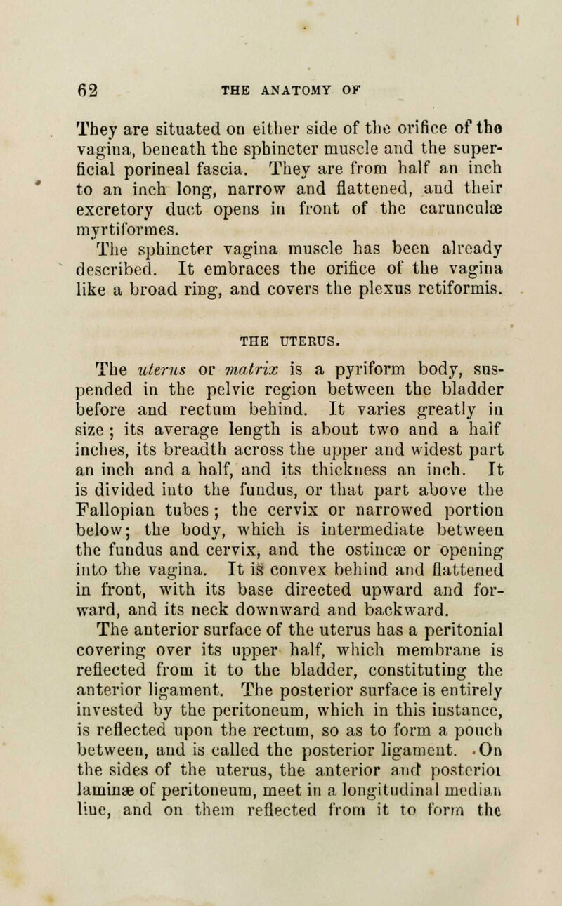 They are situated on either side of the orifice of tho vagina, beneath the sphincter muscle and the super- ficial porineal fascia. They are from half an inch to an inch long, narrow and flattened, and their excretory duct opens in front of the carunculae myrtiformes. The sphincter vagina muscle has been already described. It embraces the orifice of the vagina like a broad ring, and covers the plexus retiformis. THE UTERUS. The uterus or matrix is a pyriform body, sus- pended in the pelvic region between the bladder before and rectum behind. It varies greatly in size ; its average length is about two and a half inches, its breadth across the upper and widest part an inch and a half, and its thickness an inch. It is divided into the fundus, or that part above the Fallopian tubes ; the cervix or narrowed portion below; the body, which is intermediate between the fundus and cervix, and the ostincae or opening into the vagina. It is convex behind and flattened in front, with its base directed upward and for- ward, and its neck downward and backward. The anterior surface of the uterus has a peritonial covering over its upper half, which membrane is reflected from it to the bladder, constituting the anterior ligament. The posterior surface is entirely invested by the peritoneum, which in this instance, is reflected upon the rectum, so as to form a pouch between, and is called the posterior ligament. -On the sides of the uterus, the anterior and postcrioi laminae of peritoneum, meet in a longitudinal median liue, and on them reflected from it to form the