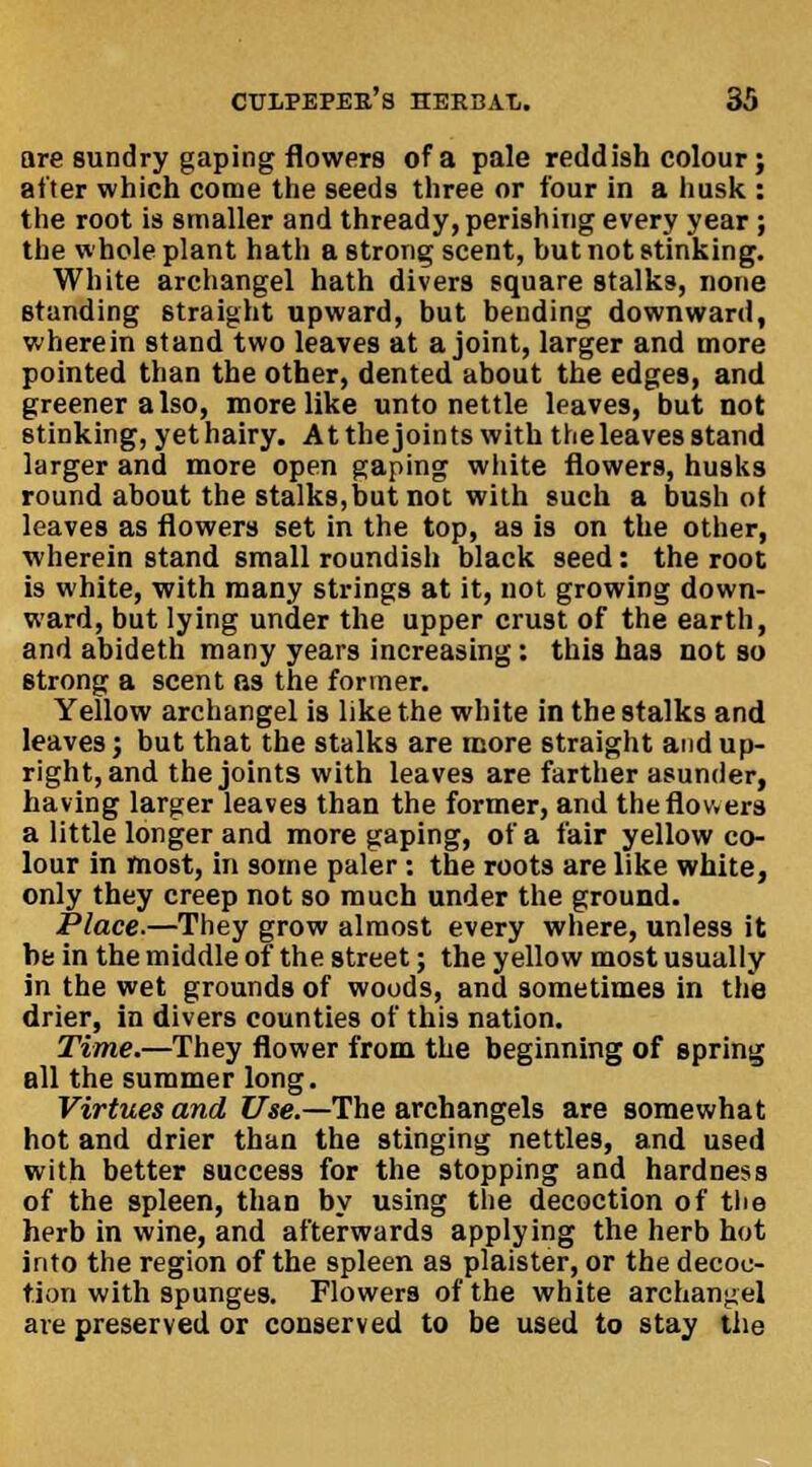 are sundry gaping flowers of a pale reddish colour; after which come the seeds three or four in a husk : the root is smaller and thready, perishing every year; the whole plant hath a strong scent, but not stinking. White archangel hath divers square stalks, none standing straight upward, but bending downward, wherein stand two leaves at a joint, larger and more pointed than the other, dented about the edges, and greener also, more like unto nettle leaves, but not stinking, yet hairy. At the joints with the leaves stand larger and more open gaping white flowers, husks round about the stalks,but not with such a bush ot leaves as flowers set in the top, as is on the other, wherein stand small roundish black seed: the root is white, with many strings at it, not growing down- ward, but lying under the upper crust of the earth, and abideth many years increasing: this has not so strong a scent (is the former. Yellow archangel is like the white in the stalks and leaves; but that the stalks are more straight and up- right, and the joints with leaves are farther asunder, having larger leaves than the former, and the flowers a little longer and more gaping, of a fair yellow co- lour in most, in some paler: the roots are like white, only they creep not so much under the ground. Place.—They grow almost every where, unless it hi; in the middle of the street; the yellow most usually in the wet grounds of woods, and sometimes in the drier, in divers counties of this nation. Time.—They flower from the beginning of spring all the summer long. Virtues and Use.—The archangels are somewhat hot and drier than the stinging nettles, and used with better success for the stopping and hardness of the spleen, than by using the decoction of the herb in wine, and afterwards applying the herb hot into the region of the spleen as plaister, or the decoc- tion with spunges. Flowers of the white archangel are preserved or conserved to be used to stay tile