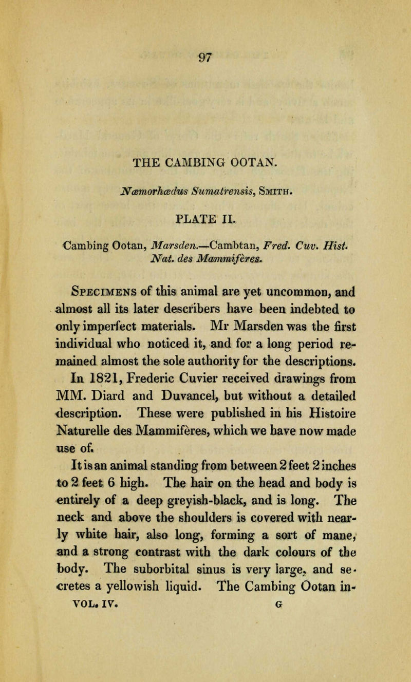 THE CAMBING OOTAN. Ncemorhcedus Sumatrensis, Smith. PLATE II. Cambing Ootan, Marsden.—Cambtan, Fred. Cuv. Hist. Nat. des Mammiferes. Specimens of this animal are yet uncommon, and almost all its later describers have been indebted to only imperfect materials. Mr Marsden was the first individual who noticed it, and for a long period re- mained almost the sole authority for the descriptions. In 1821, Frederic Cuvier received drawings from MM. Diard and Duvancel, but without a detailed description. These were published in his Histoire Naturelle des Mammiferes, which we have now made use of. Itisan animal standing from between 2 feet 2 inches to 2 feet 6 high. The hair on the head and body is entirely of a deep greyish-black, and is long. The neck and above the shoulders is covered with near- ly white hair, also long, forming a sort of mane, and a strong contrast with the dark colours of the body. The suborbital sinus is very large,, and se- cretes a yellowish liquid. The Cambing Ootan in- VOL. IV. G