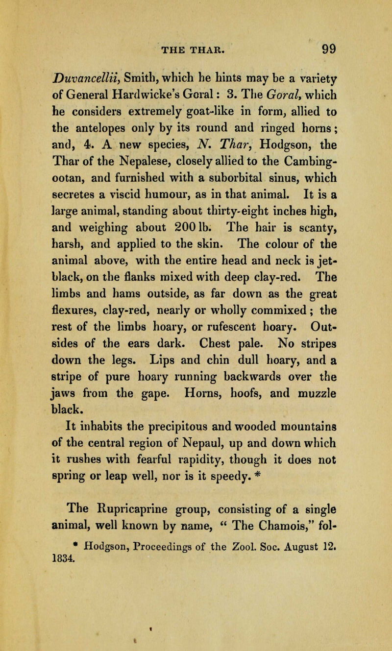 Duvancellii, Smith, which he hints may be a variety of General Hardwicke's Goral: 3. The Goral, which he considers extremely goat-like in form, allied to the antelopes only by its round and ringed horns; and, 4. A new species, N. Thar, Hodgson, the Thar of the Nepalese, closely allied to the Cambing- ootan, and furnished with a suborbital sinus, which secretes a viscid humour, as in that animal. It is a large animal, standing about thirty-eight inches high, and weighing about 200 lb. The hair is scanty, harsh, and applied to the skin. The colour of the animal above, with the entire head and neck is jet- black, on the flanks mixed with deep clay-red. The limbs and hams outside, as far down as the great flexures, clay-red, nearly or wholly commixed ; the rest of the limbs hoary, or rufescent hoary. Out- sides of the ears dark. Chest pale. No stripes down the legs. Lips and chin dull hoary, and a stripe of pure hoary running backwards over the jaws from the gape. Horns, hoofs, and muzzle black. It inhabits the precipitous and wooded mountains of the central region of Nepaul, up and down which it rushes with fearful rapidity, though it does not spring or leap well, nor is it speedy. * The Rupricaprine group, consisting of a single animal, well known by name,  The Chamois, fol- * Hodgson, Proceedings of the Zool. Soc. August 12. 1834.