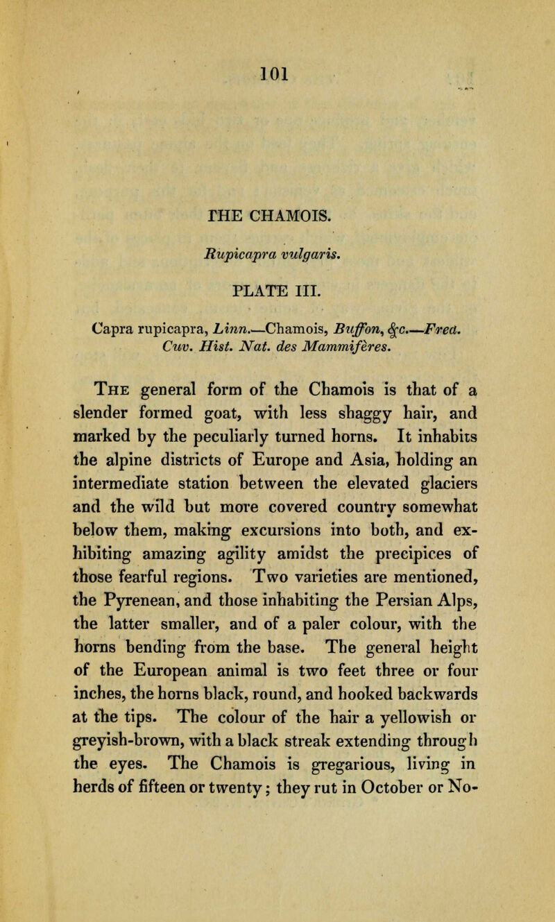 THE CHAMOIS. Rupicapra vulgaris. PLATE III. Capra rupicapra, Linn.—Chamois, Buffon, fyc.—Fred. Cuv. Hist. Nat. des Mammiferes. The general form of the Chamois is that of a slender formed goat, with less shaggy hair, and marked by the peculiarly turned horns. It inhabits the alpine districts of Europe and Asia, holding an intermediate station between the elevated glaciers and the wild but more covered country somewhat below them, making excursions into both, and ex- hibiting amazing agility amidst the precipices of those fearful regions. Two varieties are mentioned, the Pyrenean, and those inhabiting the Persian Alps, the latter smaller, and of a paler colour, with the horns bending from the base. The general height of the European animal is two feet three or four inches, the horns black, round, and hooked backwards at the tips. The colour of the hair a yellowish or greyish-brown, with a black streak extending through the eyes. The Chamois is gregarious, living in herds of fifteen or twenty; they rut in October or No-