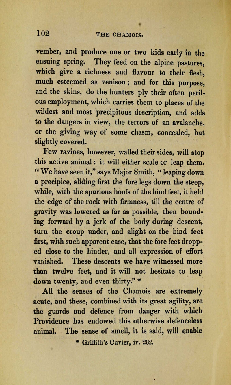 vember, and produce one or two kids early in the ensuing spring. They feed on the alpine pastures, which give a richness and flavour to their flesh, much esteemed as venison; and for this purpose, and the skins, do the hunters ply their often peril- ous employment, which carries them to places of the wildest and most precipitous description, and adds to the dangers in view, the terrors of an avalanche, or the giving way of some chasm, concealed, but slightly covered. Few ravines, however, walled their sides, will stop this active animal: it will either scale or leap them.  We have seen it, says Major Smith,  leaping down a precipice, sliding first the fore legs down the steep, while, with the spurious hoofs of the hind feet, it held the edge of the rock with firmness, till the centre of gravity was lowered as far as possible, then bound- ing forward by a jerk of the body during descent, turn the croup under, and alight on the hind feet first, with such apparent ease, that the fore feet dropp- ed close to the hinder, and all expression of effort vanished. These descents we have witnessed more than twelve feet, and it will not hesitate to leap down twenty, and even thirty. * All the senses of the Chamois are extremely acute, and these, combined with its great agility, are the guards and defence from danger with which Providence has endowed this otherwise defenceless animal. The sense of smell, it is said, will enable • Griffith's Cuvier, iv. 282.