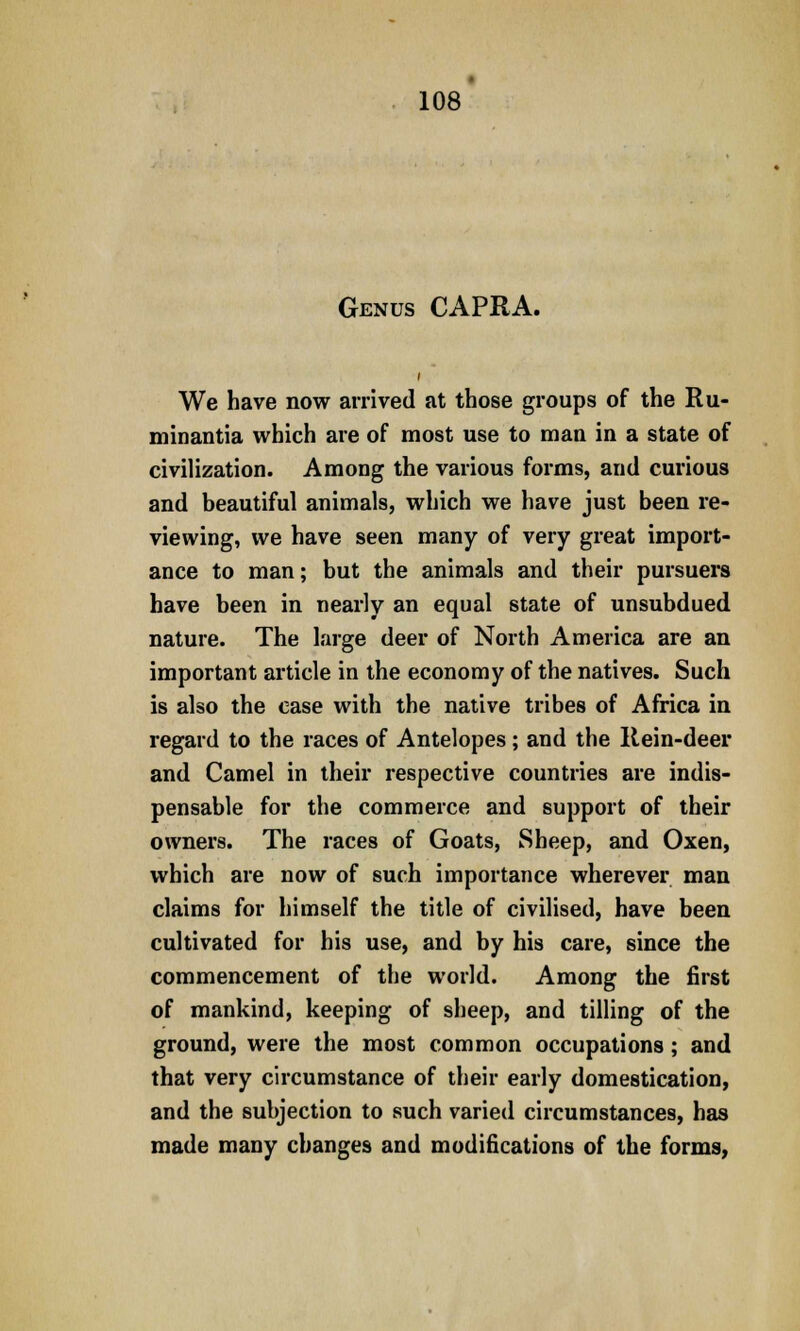 Genus CAPRA. i We have now arrived at those groups of the Ru- minantia which are of most use to man in a state of civilization. Among the various forms, and curious and beautiful animals, which we have just been re- viewing, we have seen many of very great import- ance to man; but the animals and their pursuers have been in nearly an equal state of unsubdued nature. The large deer of North America are an important article in the economy of the natives. Such is also the ease with the native tribes of Africa in regard to the races of Antelopes; and the Rein-deer and Camel in their respective countries are indis- pensable for the commerce and support of their owners. The races of Goats, Sheep, and Oxen, which are now of such importance wherever man claims for himself the title of civilised, have been cultivated for his use, and by his care, since the commencement of the world. Among the first of mankind, keeping of sheep, and tilling of the ground, were the most common occupations; and that very circumstance of their early domestication, and the subjection to such varied circumstances, has made many changes and modifications of the forms,