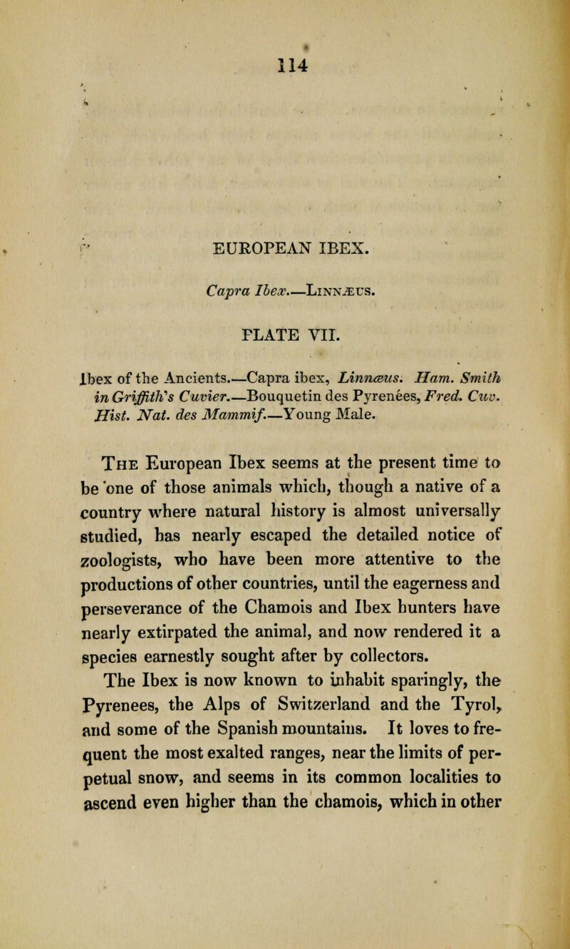 EUROPEAN IBEX. Capra Ibex Linnjeus. PLATE VII. Ibex of the Ancients Capra ibex, Linnaeus. Ham. Smith inGriffitK's Cuvier Bouquetin des Pyrenees, Fred. Cuu. Hist. Nat. des Mammif.—Young Male. The European Ibex seems at the present time to be one of those animals which, though a native of a country where natural history is almost universally studied, has nearly escaped the detailed notice of zoologists, who have been more attentive to the productions of other countries, until the eagerness and perseverance of the Chamois and Ibex hunters have nearly extirpated the animal, and now rendered it a species earnestly sought after by collectors. The Ibex is now known to inhabit sparingly, the Pyrenees, the Alps of Switzerland and the Tyrol, and some of the Spanish mountains. It loves to fre- quent the most exalted ranges, near the limits of per- petual snow, and seems in its common localities to ascend even higher than the chamois, which in other