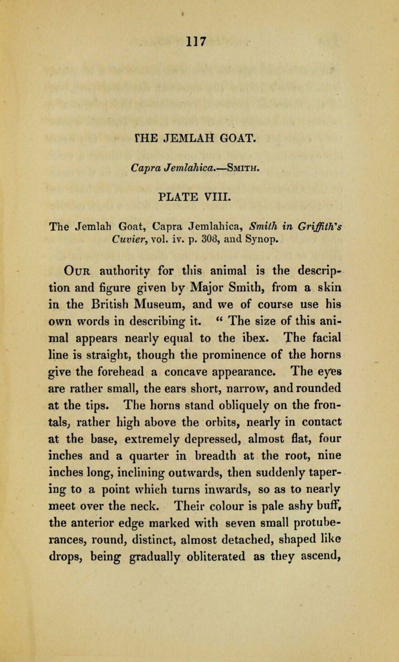 THE JEMLAH GOAT. Capra Jemlahica.—Smith. PLATE VIII. The Jemlah Goat, Capra Jemlahica, Smith in Griffith's Cuvier, vol. iv. p. 308, and Synop. Our authority for this animal is the descrip- tion and figure given by Major Smith, from a skin in the British Museum, and we of course use his own words in describing it.  The size of this ani- mal appears nearly equal to the ibex. The facial line is straight, though the prominence of the horns give the forehead a concave appearance. The eyes are rather small, the ears short, narrow, and rounded at the tips. The horns stand obliquely on the fron- tals, rather high above the orbits, nearly in contact at the base, extremely depressed, almost flat, four inches and a quarter in breadth at the root, nine inches long, inclining outwards, then suddenly taper- ing to a point which turns inwards, so as to nearly meet over the neck. Their colour is pale ashy buff, the anterior edge marked with seven small protube- rances, round, distinct, almost detached, shaped like drops, being gradually obliterated as they ascend,