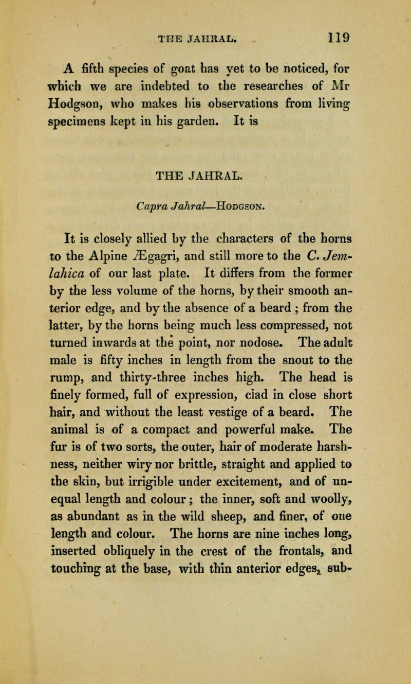 A fifth species of goat has yet to be noticed, for which we are indebted to the researches of Mr Hodgson, who makes his observations from living specimens kept in his garden. It is THE JAHRAL. Capra Jahral—Hodgson. It is closely allied by the characters of the horns to the Alpine iEgagri, and still more to the C. Jem- lahica of our last plate. It differs from the former by the less volume of the horns, by their smooth an- terior edge, and by the absence of a beard ; from the latter, by the horns being much less compressed, not turned inwards at the point, nor nodose. The adult male is fifty inches in length from the snout to the rump, and thirty-three inches high. The head is finely formed, full of expression, ciad in close short hair, and without the least vestige of a beard. The animal is of a compact and powerful make. The fur is of two sorts, the outer, hair of moderate harsh- ness, neither wiry nor brittle, straight and applied to the skin, but irrigible under excitement, and of un- equal length and colour; the inner, soft and woolly, as abundant as in the wild sheep, and finer, of one length and colour. The horns are nine inches long, inserted obliquely in the crest of the frontals, and touching at the base, with thin anterior edges* sub-