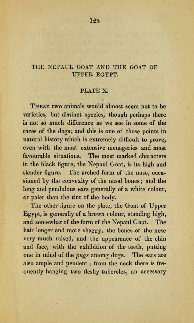 THE NEPAUL GOAT AND THE GOAT OF UPPER EGYPT. PLATE X. These two animals would almost seem not to be varieties*, but distinct species, though perhaps there is not so much difference as we see in some of the races of the dogs; and this is one of those points in natural history which is extremely difficult to prove, even with the most extensive menageries and most favourable situations. The most marked characters in the black figure, the Nepaul Goat, is its high and slender figure. The arched form of the nose, occa- sioned by the convexity of the nasal bones; and the long and pendulous ears generally of a white colour, or paler than the tint of the body. The other figure on the plate, the Goat of Upper Egypt, is generally of a brown colour, standing high, and somewhat of the form of the Nepaul Goat. The hair longer and more shaggy, the bones of the nose very much raised, and the appearance of the chin and face, with the exhibition of the teeth, putting one in mind of the pugs among dogs. The ears are also ample and pendent; from the neck there is fre- quently hanging two fleshy tubercles, an accessory