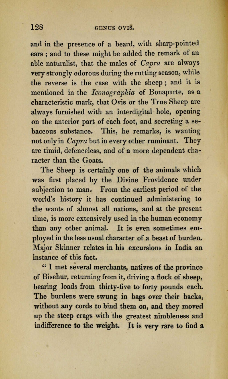 and in the presence of a beard, with sharp-pointed ears ; and to these might be added the remark of an able naturalist, that the males of Capra are always very strongly odorous during the rutting season, while the reverse is the case with the sheep ; and it is mentioned in the Iconographia of Bonaparte, as a characteristic mark, that Ovis or the True Sheep are always furnished with an interdigital hole, opening on the anterior part of each foot, and secreting a se- baceous substance. This, he remarks, is wanting not only in Capra but in every other ruminant. They are timid, defenceless, and of a more dependent cha- racter than the Goats. The Sheep is certainly one of the animals which was first placed by the Divine Providence under subjection to man. From the earliest period of the world's history it has continued administering to the wants of almost all nations, and at the present time, is more extensively used in the human economy than any other animal. It is even sometimes em- ployed in the less usual character of a beast of burden. Major Skinner relates in his excursions in India an instance of this fact.  I met several merchants, natives of the province of Bisehur, returning from it, driving a flock of sheep, bearing loads from thirty-five to forty pounds each. The burdens were swung in bags over their backs, without any cords to bind them on, and they moved up the steep crags with the greatest nimbleness and indifference to the weight. It is very rare to find a