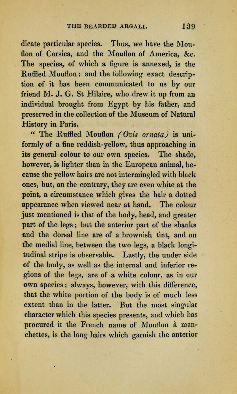 dicate particular species. Thus, we have the Mou- flon of Corsica, and the Mouflon of America, &c. The species, of which a figure is annexed, is the Ruffled Mouflon: and the following exact descrip- tion of it has been communicated to us by our friend M. J. G. St Hilaire, who drew it up from an individual brought from Egypt by his father, and preserved in the collection of the Museum of Natural History in Paris.  The Ruffled Mouflon (Ovis ornata) is uni- formly of a fine reddish-yellow, thus approaching in its general colour to our own species. The shade, however, is lighter than in the European animal, be- cause the yellow hairs are not intermingled with black ones, but, on the contrary, they are even white at the point, a circumstance which gives the hair a dotted appearance when viewed near at hand. The colour just mentioned is that of the body, head, and greater part of the legs; but the anterior part of the shanks and the dorsal line are of a brownish tint, and on the medial line, between the two legs, a black longi- tudinal stripe is observable. Lastly, the under side of the body, as well as the internal and inferior re- gions of the legs, are of a white colour, as in our own species; always, however, with this difference, that the white portion of the body is of much less extent than in the latter. But the most singular character which this species presents, and which has procured it the French name of Mouflon a man- chettes, is the long hairs which garnish the anterior