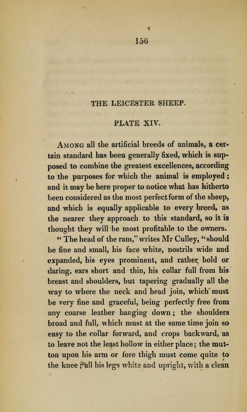 THE LEICESTER SHEEP. PLATE XIV. Among all the artificial breeds of animals, a cer- tain standard has been generally fixed, which is sup- posed to combine the greatest excellences, according to the purposes for which the animal is employed ; and it may be here proper to notice what has hitherto been considered as the most perfect form of the sheep, and which is equally applicable to every breed, as the nearer they approach to this standard, so it is thought they will be most profitable to the owners.  The head of the ram, writes Mr Culley, should be fine and small, his face white, nostrils wide and expanded, his eyes prominent, and rather, bold or daring, ears short and thin, his collar full from his breast and shoulders, but tapering gradually all the way to where the neck and head join, which'must be very fine and graceful, being perfectly free from any coarse leather hanging down; the shoulders broad and full, which must at the same time join so easy to the collar forward, and crops backward, as to leave not the least hollow in either place; the mut- ton upon his arm or fore thigh must come quite to the knee ;*all his legs white and upright, with a clean