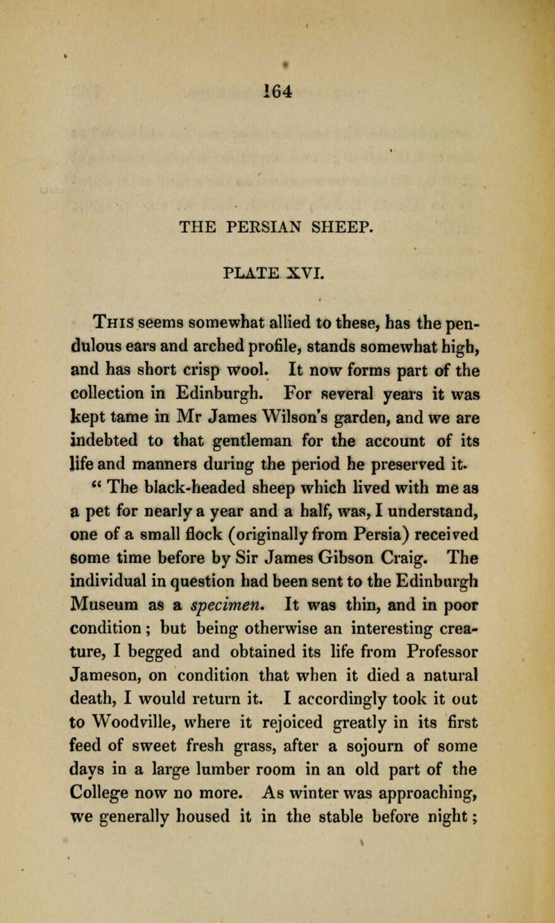 THE PERSIAN SHEEP. PLATE XVI. This seems somewhat allied to these, has the pen- dulous ears and arched profile, stands somewhat high, and has short crisp wool. It now forms part of the collection in Edinburgh. For several years it was kept tame in Mr James Wilson's garden, and we are indebted to that gentleman for the account of its life and manners during the period he preserved it.  The black-headed sheep which lived with me as a pet for nearly a year and a half, was, I understand, one of a small flock (originally from Persia) received some time before by Sir James Gibson Craig. The individual in question had been sent to the Edinburgh Museum as a specimen. It was thin, and in poor condition; but being otherwise an interesting crea- ture, I begged and obtained its life from Professor Jameson, on condition that when it died a natural death, I would return it. I accordingly took it out to Woodville, where it rejoiced greatly in its first feed of sweet fresh grass, after a sojourn of some days in a large lumber room in an old part of the College now no more. As winter was approaching, we generally housed it in the stable before night;