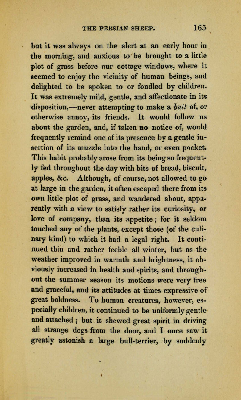 but it was always on the alert at an early hour in. the morning, and anxious to be brought to a little plot of grass before our cottage windows, where it seemed to enjoy the vicinity of human beings, and delighted to be spoken to or fondled by children. It was extremely mild, gentle, and affectionate in its disposition,—never attempting to make a butt of, or otherwise annoy, its friends. It would follow us about the garden, and, if taken no notice of, would frequently remind one of its presence by a gentle in- sertion of its muzzle into the hand, or even pocket. This habit probably arose from its being so frequent- ly fed throughout the day with bits of bread, biscuit, apples, &c. Although, of course, not allowed to go at large in the garden, it often escaped there from its own little plot of grass, and wandered about, appa- rently with a view to satisfy rather its curiosity, or love of company, than its appetite; for it seldom touched any of the plants, except those (of the culi- nary kind) to which it had a legal right. It conti- nued thin and rather feeble all winter, but as the weather improved in warmth and brightness, it ob- viously increased in health and spirits, and through- out the summer season its motions were very free and graceful, and its attitudes at times expressive of great boldness. To human creatures, however, es- pecially children, it continued to be uniformly gentle and attached ; but it shewed great spirit in driving all strange dogs from the door, and I once saw it greatly astonish a large bull-terrier, by suddenly