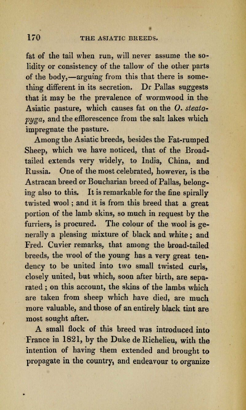 fat of the tail when run, will never assume the so- lidity or consistency of the tallow of the other parts of the body,—arguing from this that there is some- thing different in its secretion. Dr Pallas suggests that it may be the prevalence of wormwood in the Asiatic pasture, which causes fat on the 0. steato- joyga, and the efflorescence from the salt lakes which impregnate the pasture. Among the Asiatic breeds, besides the Fat-rumped Sheep, which we have noticed, that of the Broad- tailed extends very widely, to India, China, and Russia. One of the most celebrated, however, is the Astracan breed or Boucharian breed of Pallas, belong- ing also to this. It is remarkable for the fine spirally twisted wool; and it is from this breed that a great portion of the lamb skins, so much in request by the furriers, is procured. The colour of the wool is ge- nerally a pleasing mixture of black and white; and Fred. Cuvier remarks, that among the broad-tailed breeds, the wool of the young has a very great ten- dency to be united into two small twisted curls, closely united, but which, soon after birth, are sepa- rated ; on this account, the skins of the lambs which are taken from sheep which have died, are much more valuable, and those of an entirely black tint are most sought after. A small flock of this breed was introduced into France in 1821, by the Duke de Richelieu, with the intention of having them extended and brought to propagate in the country, and endeavour to organize