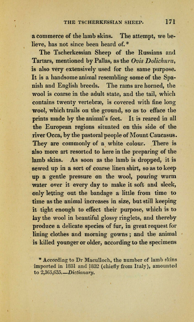 a commerce of the lamb skins. The attempt, we be- lieve, has not since been heard of. * The Tscherkessian Sheep of the Russians and Tartars, mentioned by Pallas, as the Ovis Dolichura, is also very extensively used for the same purpose. It is a handsome animal resembling some of the Spa- nish and English breeds. The rams are horned, the wool is coarse in the adult state, and the tail, which contains twenty vertebrae, is covered with fine long wool, which trails on the ground, so as to efface the prints made by the animal's feet. It is reared in all the European regions situated on this side of the river Occa, by the pastoral people of Mount Caucasus. They are commonly of a white colour. There is also more art resorted to here in the preparing of the lamb skins. As soon as the lamb is dropped, it is sewed up in a sort of coarse linen shirt, so as to keep up a gentle pressure on the wool, pouring warm water over it every day to make it soft and sleek, only letting out the bandage a little from time to time as the animal increases in size, but still keeping it tight enough to effect their purpose, which is to lay the wool in beautiful glossy ringlets, and thereby produce a delicate species of fur, in great request for lining clothes and morning gowns ; and the animal is killed younger or older, according to the specimens * According to Dr Maculloch, the number of lamb skins imported in 1831 and 1832 (chiefly from Italy), amounted to 2,365,635.—Dictionary.