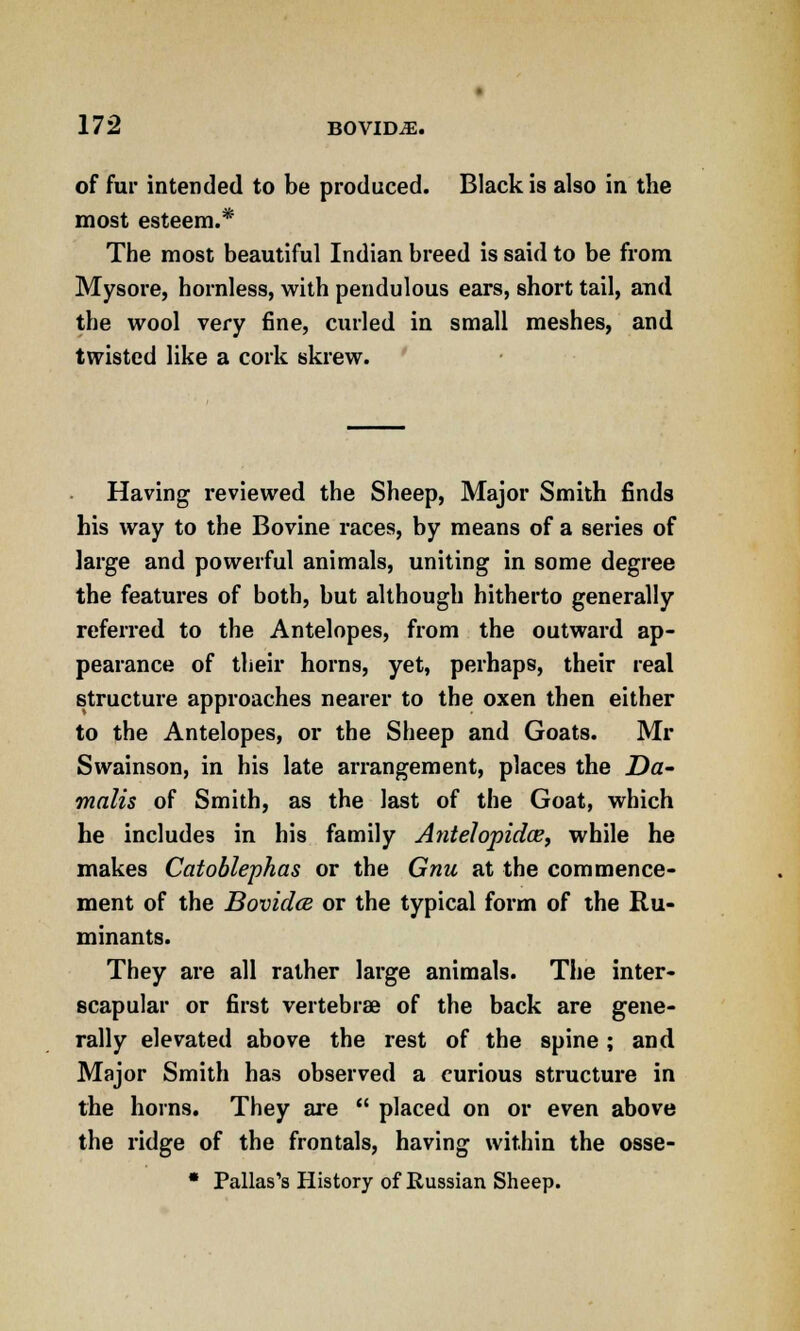 of fur intended to be produced. Black is also in the most esteem.* The most beautiful Indian breed is said to be from Mysore, hornless, with pendulous ears, short tail, and the wool very fine, curled in small meshes, and twisted like a cork skrew. Having reviewed the Sheep, Major Smith finds his way to the Bovine races, by means of a series of large and powerful animals, uniting in some degree the features of both, but although hitherto generally referred to the Antelopes, from the outward ap- pearance of their horns, yet, perhaps, their real structure approaches nearer to the oxen then either to the Antelopes, or the Sheep and Goats. Mr Swainson, in his late arrangement, places the Da- main of Smith, as the last of the Goat, which he includes in his family Antelopidce, while he makes Catoblephas or the Gnu at the commence- ment of the Bovidce or the typical form of the Ru- minants. They are all rather large animals. The inter- scapular or first vertebrae of the back are gene- rally elevated above the rest of the spine; and Major Smith has observed a curious structure in the horns. They are  placed on or even above the ridge of the frontals, having within the osse- * Pallas's History of Russian Sheep.