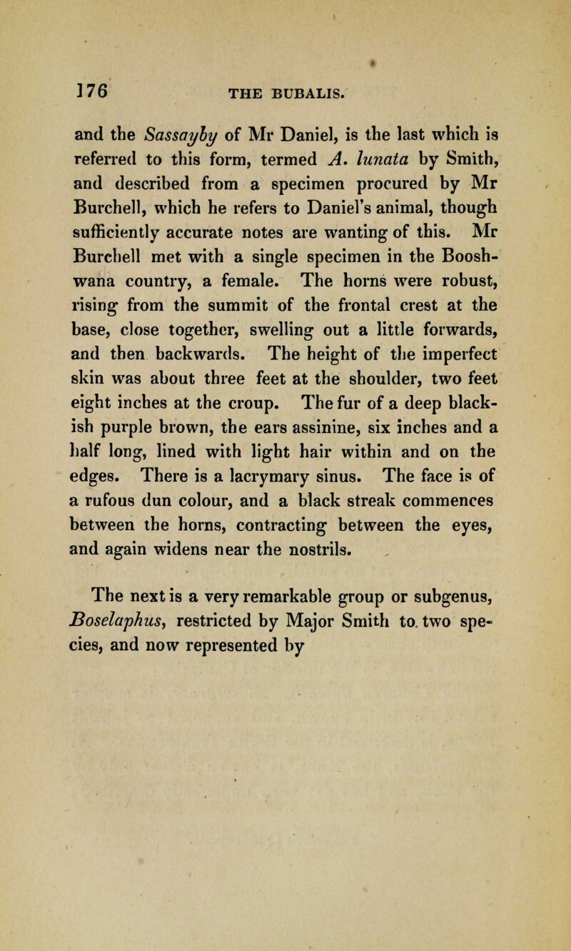 ]7G THE BUBALIS. and the Sassayby of Mr Daniel, is the last which is referred to this form, termed A. lunata by Smith, and described from a specimen procured by Mr Burchell, which he refers to Daniel's animal, though sufficiently accurate notes are wanting of this. Mr Burchell met with a single specimen in the Boosh- wana country, a female. The horns were robust, rising from the summit of the frontal crest at the base, close together, swelling out a little forwards, and then backwards. The height of the imperfect skin was about three feet at the shoulder, two feet eight inches at the croup. The fur of a deep black- ish purple brown, the ears assinine, six inches and a half long, lined with light hair within and on the edges. There is a lacrymary sinus. The face is of a rufous dun colour, and a black streak commences between the horns, contracting between the eyes, and again widens near the nostrils. The next is a very remarkable group or subgenus, Boselaphus, restricted by Major Smith to. two spe- cies, and now represented by