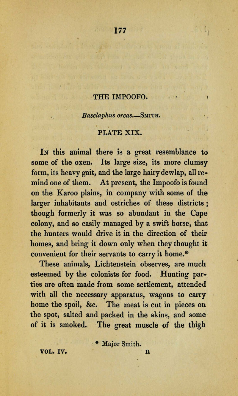 THE IMPOOFO. t ., Baselaphus oreas.—Smith. PLATE XIX. In this animal there is a great resemblance to some of the oxen. Its large size, its more clumsy form, its heavy gait, and the large hairy dewlap, all re- mind one of them. At present, the Impoofo is found on the Karoo plains, in company with some of the larger inhabitants and ostriches of these districts ; though formerly it was so abundant in the Cape colony, and so easily managed by a swift horse, that the hunters would drive it in the direction of their homes, and bring it down only when they thought it convenient for their servants to carry it home.* These animals, Lichtenstein observes, are much esteemed by the colonists for food. Hunting par- ties are often made from some settlement, attended with all the necessary apparatus, wagons to carry home the spoil, &c. The meat is cut in pieces on the spot, salted and packed in the skins, and some of it is smoked. The great muscle of the thigh ; • Major Smith. VOL. IV. R