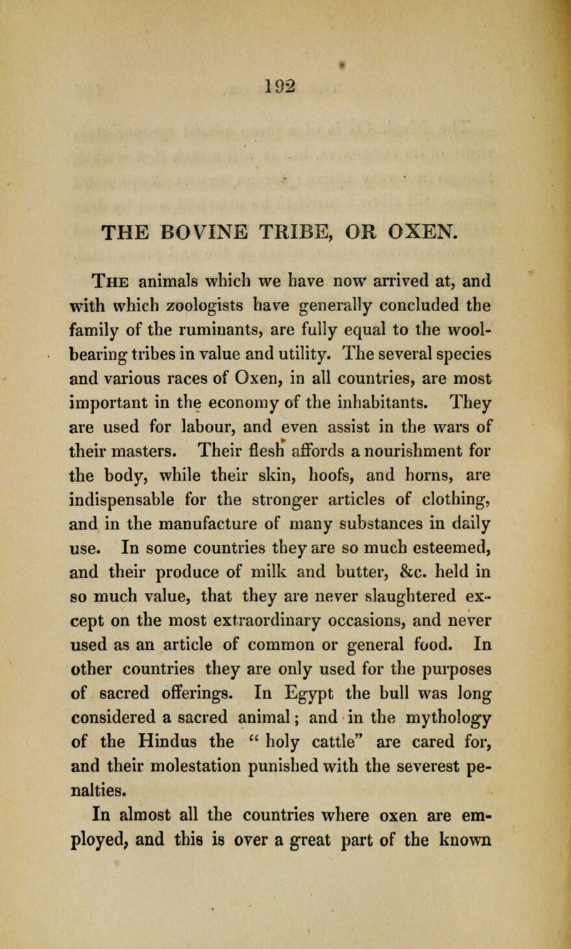 THE BOVINE TRIBE, OR OXEN. The animals which we have now arrived at, and with which zoologists have generally concluded the family of the ruminants, are fully equal to the wool- bearing tribes in value and utility. The several species and various races of Oxen, in all countries, are most important in the economy of the inhabitants. They are used for labour, and even assist in the wars of their masters. Their flesh affords a nourishment for the body, while their skin, hoofs, and horns, are indispensable for the stronger articles of clothing, and in the manufacture of many substances in daily use. In some countries they are so much esteemed, and their produce of milk and butter, &c. held in so much value, that they are never slaughtered ex- cept on the most extraordinary occasions, and never used as an article of common or general food. In other countries they are only used for the purposes of sacred offerings. In Egypt the bull was long considered a sacred animal; and in the mythology of the Hindus the  holy cattle are cared for, and their molestation punished with the severest pe- nalties. In almost all the countries where oxen are em- ployed, and this is over a great part of the known