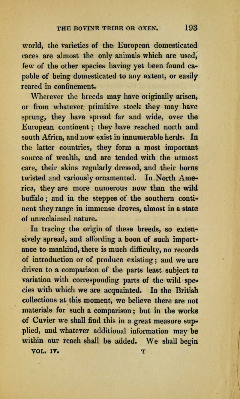 world, the varieties of the European domesticated races are almost the only animals which are used, few of the other species having yet been found ca- pable of being domesticated to any extent, or easily reared in confinement. Wherever the breeds may have originally arisen, or from whatever primitive stock they may have sprung, they have spread far and wide, over the European continent; they have reached north and south Africa, and now exist in innumerable herds. In the latter countries, they form a most important source of wealth, and are tended with the utmost care, their skins regularly dressed, and their horns twisted and variously ornamented. In North Ame- rica, they are more numerous now than the wild buffalo; and in the steppes of the southern conti- nent they range in immense droves, almost in a state of unreclaimed nature. In tracing the origin of these breeds, so exten- sively spread, and affording a boon of such import- ance to mankind, there is much difficulty, no records of introduction or of produce existing; and we are driven to a comparison of the parts least subject to variation with corresponding parts of the wild spe- cies with which we are acquainted. In the British collections at this moment, we believe there are not materials for such a comparison; but in the works of Cuvier we shall find this in a great measure sup- plied, and whatever additional information may be within our reach shall be added. We shall begin VOL. IV. T