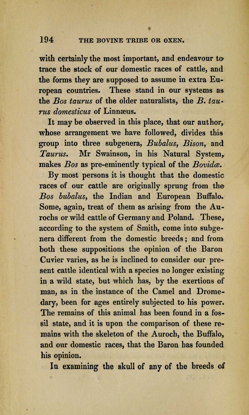 with certainly the most important, and endeavour to* trace the stock of our domestic races of cattle, and the forms they are supposed to assume in extra Eu- ropean countries. These stand in our systems as the Bos taurus of the older naturalists, the B. tau- rus domesticus of Linnseus. It may be observed in this place, that our author, whose arrangement we have followed, divides this group into three subgenera, Bubalus, Bison, and Taurus. Mr Swainson, in his Natural System, makes Bos as pre-eminently typical of the Bovidce. By most persons it is thought that the domestic races of our cattle are originally sprung from the Bos bubalus, the Indian and European Buffalo. Some, again, treat of them as arising from the Au- rochs or wild cattle of Germany and Poland. These, according to the system of Smith, come into subge- nera different from the domestic breeds; and from both these suppositions the opinion of the Baron Cuvier varies, as he is inclined to consider our pre- sent cattle identical with a species no longer existing in a wild state, but which has, by the exertions of man, as in the instance of the Camel and Drome- dary, been for ages entirely subjected to his power. The remains of this animal has been found in a fos- sil state, and it is upon the comparison of these re- mains with the skeleton of the Auroch, the Buffalo, and our domestic races, that the Baron has founded his opinion. In examining the skull of any of the breeds of