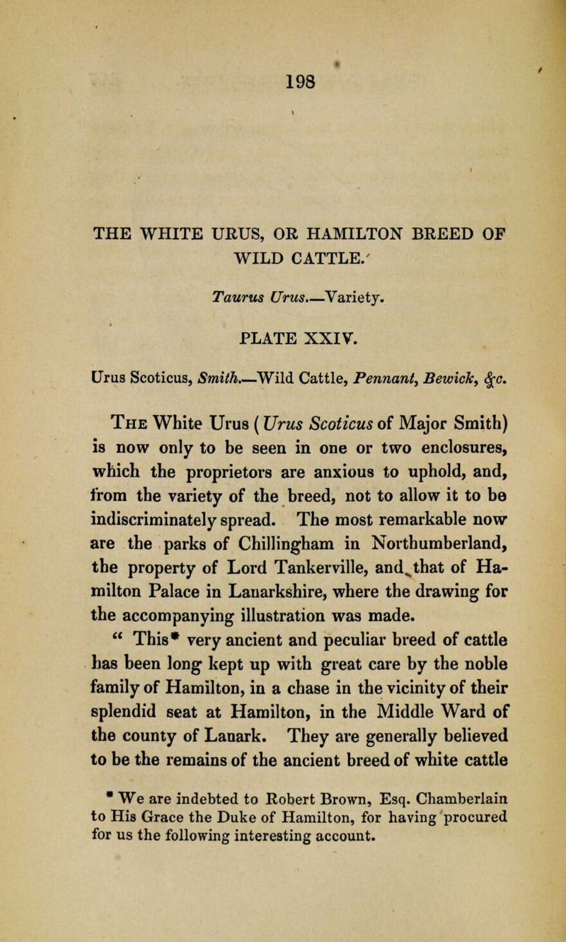 THE WHITE URUS, OR HAMILTON BREED OF WILD CATTLE.' Taurus Urus.—Variety. PLATE XXIV. Urus Scoticus, Smith.—Wild Cattle, Pennant, Bewick, $c. The White Urus (Urus Scoticus of Major Smith) is now only to be seen in one or two enclosures, which the proprietors are anxious to uphold, and, from the variety of the breed, not to allow it to be indiscriminately spread. The most remarkable now are the parks of Chillingham in Northumberland, the property of Lord Tankerville, and^that of Ha- milton Palace in Lanarkshire, where the drawing for the accompanying illustration was made.  This* very ancient and peculiar breed of cattle has been long kept up with great care by the noble family of Hamilton, in a chase in the vicinity of their splendid seat at Hamilton, in the Middle Ward of the county of Lanark. They are generally believed to be the remains of the ancient breed of white cattle  We are indebted to Robert Brown, Esq. Chamberlain to His Grace the Duke of Hamilton, for having procured for us the following interesting account.