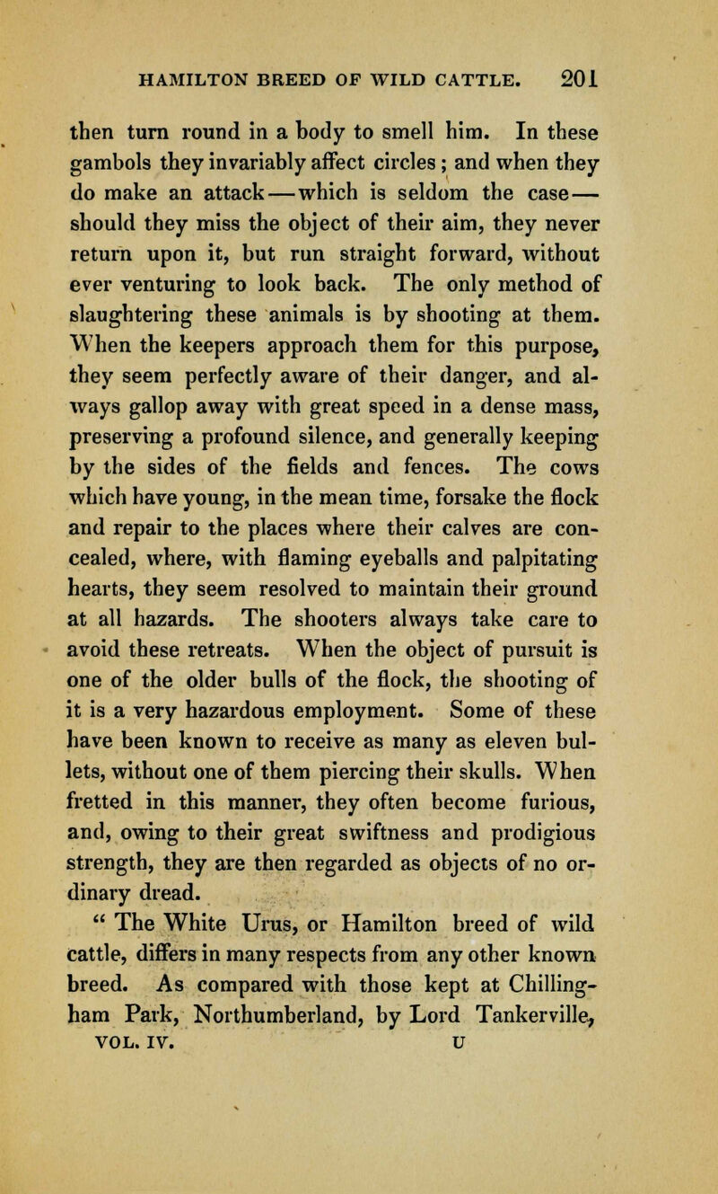 then turn round in a body to smell him. In these gambols they invariably affect circles; and when they do make an attack—which is seldom the case— should they miss the object of their aim, they never return upon it, but run straight forward, without ever venturing to look back. The only method of slaughtering these animals is by shooting at them. When the keepers approach them for this purpose, they seem perfectly aware of their danger, and al- ways gallop away with great speed in a dense mass, preserving a profound silence, and generally keeping by the sides of the fields and fences. The cows which have young, in the mean time, forsake the flock and repair to the places where their calves are con- cealed, where, with flaming eyeballs and palpitating hearts, they seem resolved to maintain their ground at all hazards. The shooters always take care to avoid these retreats. When the object of pursuit is one of the older bulls of the flock, the shooting of it is a very hazardous employment. Some of these have been known to receive as many as eleven bul- lets, without one of them piercing their skulls. When fretted in this manner, they often become furious, and, owing to their great swiftness and prodigious strength, they are then regarded as objects of no or- dinary dread.  The White Urus, or Hamilton breed of wild cattle, differs in many respects from any other known breed. As compared with those kept at Chilling- ham Park, Northumberland, by Lord Tankerville, VOL. iv. u