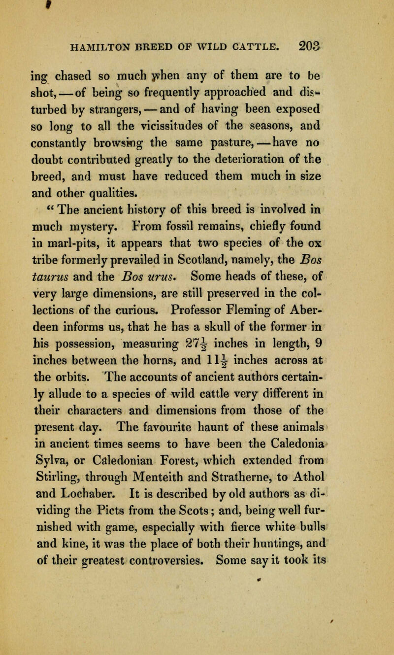 ing chased so much when any of them are to be shot, — of being so frequently approached and dis- turbed by strangers, — and of having been exposed so long to all the vicissitudes of the seasons, and constantly browsing the same pasture,—have no doubt contributed greatly to the deterioration of the breed, and must have reduced them much in size and other qualities.  The ancient history of this breed is involved in much mystery. From fossil remains, chiefly found in marl-pits, it appears that two species of the ox tribe formerly prevailed in Scotland, namely, the Bos taunts and the Bos urus. Some heads of these, of very large dimensions, are still preserved in the col- lections of the curious. Professor Fleming of Aber- deen informs us, that he has a skull of the former in his possession, measuring 21\ inches in length, 9 inches between the horns, and 11^ inches across at the orbits. The accounts of ancient authors certain- ly allude to a species of wild cattle very different in their characters and dimensions from those of the present day. The favourite haunt of these animals in ancient times seems to have been the Caledonia Sylva, or Caledonian Forest, which extended from Stirling, through Menteith and Stratherne, to Athol and Lochaber. It is described by old authors as di- viding the Picts from the Scots; and, being well fur- nished with game, especially with fierce white bulls and kine, it was the place of both their huntings, and of their greatest controversies. Some say it took its