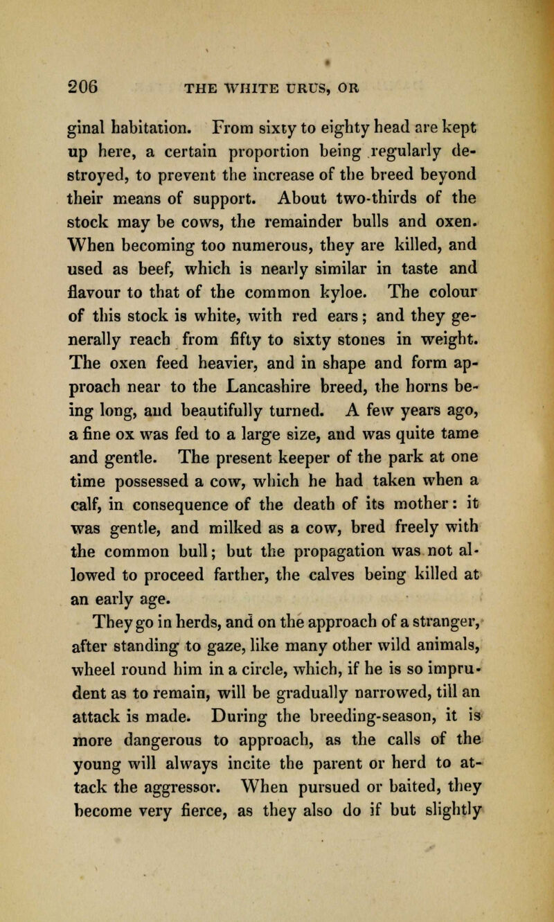 ginal habitation. From sixty to eighty head are kept up here, a certain proportion being regularly de- stroyed, to prevent the increase of the breed beyond their means of support. About two-thirds of the stock may be cows, the remainder bulls and oxen. When becoming too numerous, they are killed, and used as beef, which is nearly similar in taste and flavour to that of the common kyloe. The colour of this stock is white, with red ears; and they ge- nerally reach from fifty to sixty stones in weight. The oxen feed heavier, and in shape and form ap- proach near to the Lancashire breed, the horns be- ing long, and beautifully turned. A few years ago, a fine ox was fed to a large size, and was quite tame and gentle. The present keeper of the park at one time possessed a cow, which he had taken when a calf, in consequence of the death of its mother: it was gentle, and milked as a cow, bred freely with the common bull; but the propagation was not al- lowed to proceed farther, the calves being killed at an early age. They go in herds, and on the approach of a stranger, after standing to gaze, like many other wild animals, wheel round him in a circle, which, if he is so impru- dent as to remain, will be gradually narrowed, till an attack is made. During the breeding-season, it is more dangerous to approach, as the calls of the young will always incite the parent or herd to at- tack the aggressor. When pursued or baited, they become very fierce, as they also do if but slightly