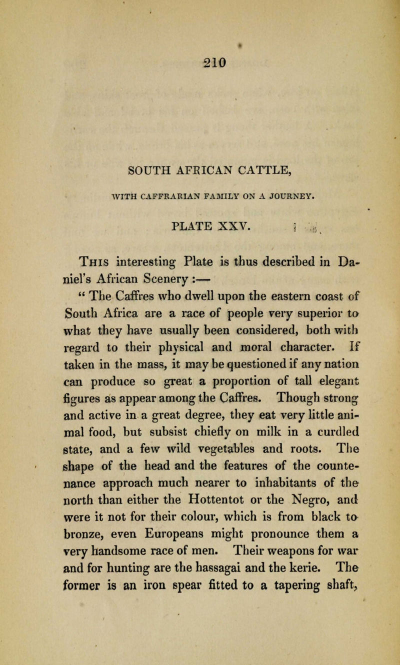 SOUTH AFRICAN CATTLE, WITH CAFFRARIAN FAMILY ON A JOURNEY. PLATE XXV. 5 This interesting Plate is thus described in Da- niel's African Scenery :—  The Caffres who dwell upon the eastern coast of South Africa are a race of people very superior to what they have usually been considered, both with regard to their physical and moral character. If taken in the mass, it may be questioned if any nation can produce so great a proportion of tall elegant figures as appear among the Caffres. Though strong and active in a great degree, they eat very little ani- mal food, but subsist chiefly on milk in a curdled state, and a few wild vegetables and roots. The shape of the head and the features of the counte- nance approach much nearer to inhabitants of the north than either the Hottentot or the Negro, and were it not for their colour, which is from black ta bronze, even Europeans might pronounce them a very handsome race of men. Their weapons for war and for hunting are the hassagai and the kerie. The former is an iron spear fitted to a tapering shaft,