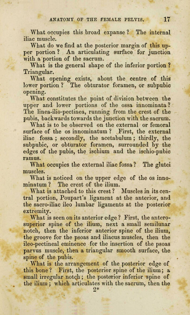 What occupies this broad expanse ? The internal iliac muscle. What do we find at the posterior margin of this up- per portion ? An articulating surface for junction with a portion of the sacrum. What is the general shape of the inferior portion ? Triangular. What opening exists, about the centre of this lower portion ? The obturator foramen, or subpubic opening. What constitutes the point of division between the upper and lower portions of the ossa innominata ? The linea-ilio-pectinea, running from the crest of the pubis, backwards towards the junction with the sacrum. What is to be observed on the external or femoral surface of the os innominatum ? First, the external iliac fossa ; secondly, the acetabulum; thirdly, the subpubic, or obturator foramen, surrounded by the edges of the pubis, the ischium and the ischio-pubic ramus. What occupies the external iliac fossa ? The glutei muscles. What is noticed on the upper edge of the os inno- minatum ? The crest of the ilium. What is attached to this crest ? Muscles in its cen- tral portion, Poupart's ligament at the anterior, and the sacro-iliac ileo lumbar ligaments at the posterior extremity. What is seen on its anterior edge ? First, the antero- superior spine of the ilium, next a small semilunar notch, then the inferior anterior spine of the ilium, the groove for the psoas and iliacus muscles, then the ileo-pectineal eminence for the insertion of the psoas parvus muscle, then a triangular smooth surface, the spine of the pubis. What is the arrangement of the posterior edge of this bone? First, the posterior spine of the ilium; a small irregular notch ; the posterior inferior spine of the ilium ; which articulates with the sacrum, then the 2*