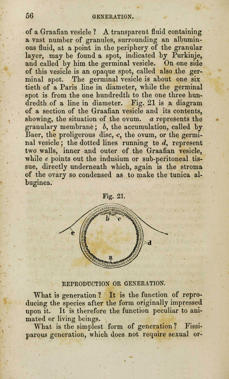 of a Graafian vesicle ? A transparent fluid containing a vast number of granules, surrounding an albumin- ous fluid, at a point in the periphery of the granular layer, may be found a spot, indicated by Purkinje, and called by him the germinal vesicle. On one side of this vesicle is an opaque spot, called also the ger- minal spot. The germinal vesicle is about one six tieth of a Paris line in diameter, while the germinal spot is from the one hundredth to the one three hun- dredth of a line in diameter. Fig. 21 is a diagram of a section of the Graafian vesicle and its contents, showing, the situation of the ovum, a represents the granulary membrane; b, the accumulation, called by Baer, the proligerous disc, c, the ovum, or the germi- nal vesicle; the dotted lines running to d, represent two walls, inner and outer of the Graafian vesicle, while e points out the indusium or sub-peritoneal tis- sue, directly underneath which, again is the stroma of the ovary so condensed as to make the tunica al- buginea. Fig. 21. REPRODUCTION OR GENERATION. What is generation ? It is the function of repro- ducing the species after the form originally impressed upon it. It is therefore the function peculiar to ani- mated or living beings. What is the simplest form of generation ? Fissi- parous generation, which does not require sexual or-