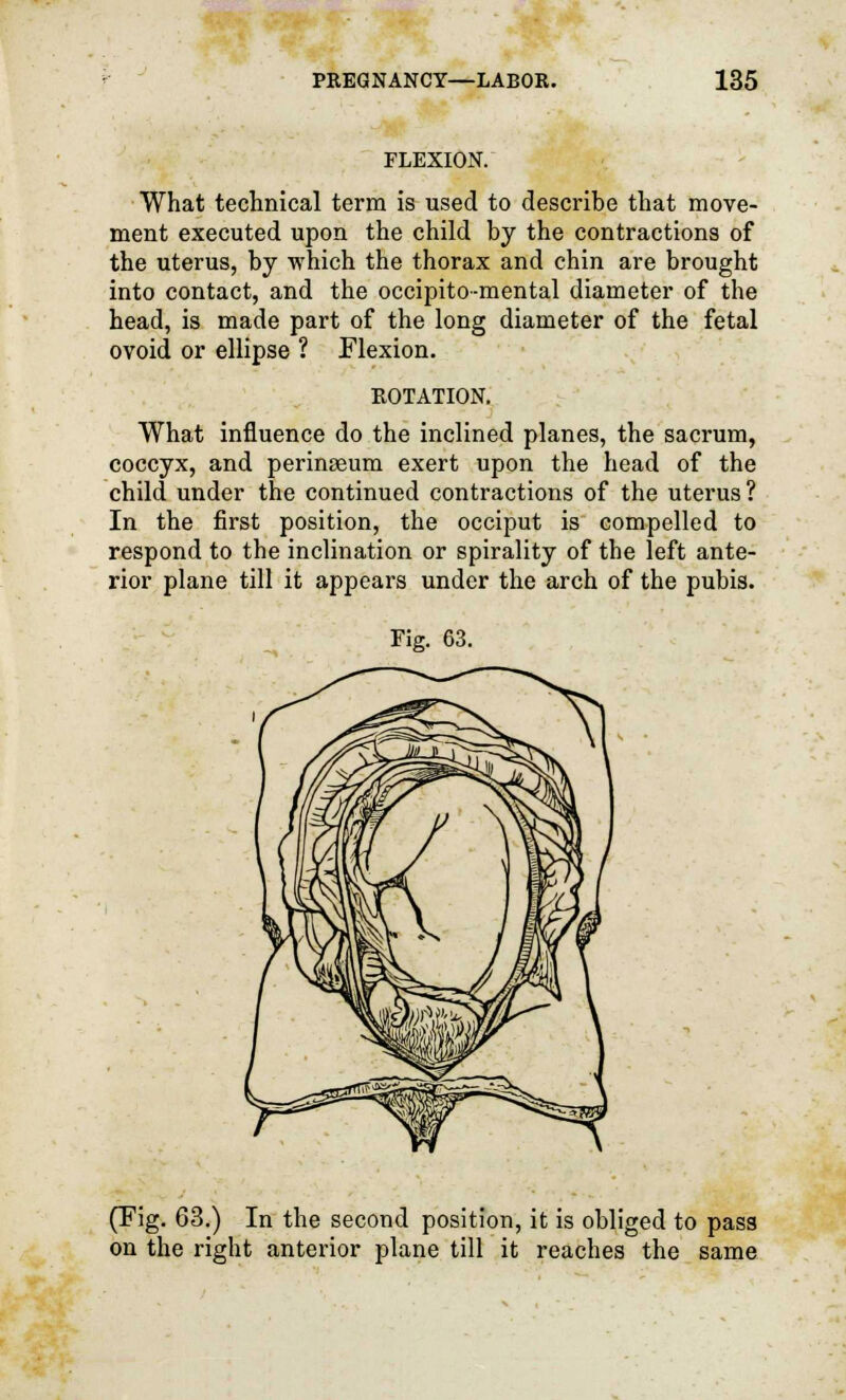 FLEXION. What technical term is used to describe that move- ment executed upon the child by the contractions of the uterus, by which the thorax and chin are brought into contact, and the occipito-mental diameter of the head, is made part of the long diameter of the fetal ovoid or ellipse ? Flexion. ROTATION. What influence do the inclined planes, the sacrum, coccyx, and perinseum exert upon the head of the child under the continued contractions of the uterus ? In the first position, the occiput is compelled to respond to the inclination or spirality of the left ante- rior plane till it appears under the arch of the pubis. Fig. 63. (Tig. 63.) In the second position, it is obliged to pass on the right anterior plane till it reaches the same