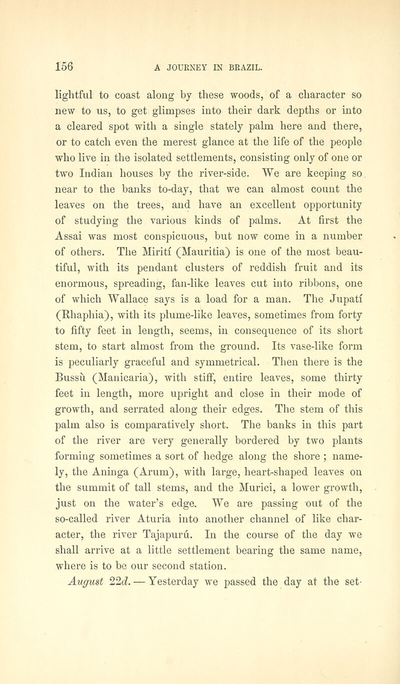 lightful to coast along by these woods, of a character so new to us, to get glimpses into their dark depths or into a cleared spot with a single stately palm here and there, or to catch even the merest glance at the life of the people who live in the isolated settlements, consisting only of one or two Indian houses by the river-side. We are keeping so near to the banks to-day, that we can almost count the leaves on the trees, and have an excellent opportunity of studying the various kinds of palms. At first the Assai was most conspicuous, but now come in a number of others. The Miriti (Mauritia) is one of the most beau- tiful, with its pendant clusters of reddish fruit and its enormous, spreading, fan-like leaves cut into ribbons, one of which Wallace says is a load for a man. The Jupati (Rhaphia), with its plume-like leaves, sometimes from forty to fifty feet in length, seems, in consequence of its short stem, to start almost from the ground. Its vase-like form is peculiarly graceful and symmetrical. Then there is the Bussu (Manicaria), with stiff, entire leaves, some thirty feet in length, more upright and close in their mode of growth, and serrated along their edges. The stem of this palm also is comparatively short. The banks in this part of the river are very generally bordered by two plants forming sometimes a sort of hedge along the shore ; name- ly, the Aninga (Arum), with large, heart-shaped leaves on the summit of tall stems, and the Murici, a lower growth, just on the water's edge. We are passing out of the so-called river Aturia into another channel of like char- acter, the river Tajapuru. In the course of the day we shall arrive at a little settlement bearing the same name, where is to be our second station. August 22d. — Yesterday we passed the day at the set-