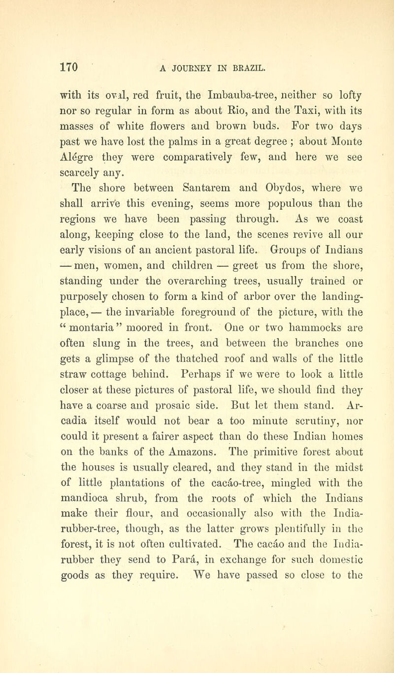 with its ovil, red fruit, the Imbauba-tree, neither so lofty nor so regular in form as about Rio, and the Taxi, with its masses of white flowers and brown buds. For two days past we have lost the palms in a great degree ; about Monte Alegre they were comparatively few, and here we see scarcely any. The shore between Santarem and Obydos, where we shall arrive this evening, seems more populous than the regions we have been passing through. As we coast along, keeping close to the land, the scenes revive all our early visions of an ancient pastoral life. Groups of Indians — men, women, and children — greet us from the shore, standing under the overarching trees, usually trained or purposely chosen to form a kind of arbor over the landing- place, — the invariable foreground of the picture, with the  montaria  moored in front. One or two hammocks are often slung in the trees, and between the branches one gets a glimpse of the thatched roof and walls of the little straw cottage behind. Perhaps if we were to look a little closer at these pictures of pastoral life, we should find they have a coarse and prosaic side. But let them stand. Ar- cadia itself would not bear a too minute scrutiny, nor could it present a fairer aspect than do these Indian homes on the banks of the Amazons. The primitive forest about the houses is usually cleared, and they stand in the midst of little plantations of the cac^o-tree, mingled with the mandioca shrub, from the roots of which the Indians make their flour, and occasionally also with the India- rubber-tree, though, as the latter grows plentifully in the forest, it is not often cultivated. The cacao and the India- rubber they send to Para, in exchange for such domestic goods as they require. We have passed so close to the