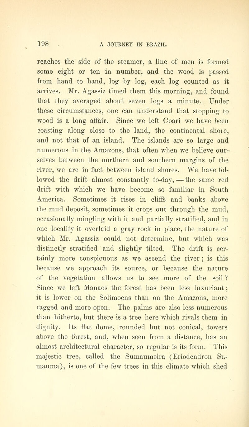 reaches the side of the steamer, a line of men is formed some eight or ten in number, and the wood is passed from hand to hand, log by log, each log counted as it arrives. Mr. Agassiz timed them this morning, and found that they averaged about seven logs a minute. Under these circumstances, one can understand that stopping to wood is a long affair. Since we left Coari we have been 3oasting along close to the land, the continental shoie, and not that of an island. The islands are so large and numerous in the Amazons, that often when we believe our- selves between the northern and southern margins of the river, we are in fact between island shores. We have fol- lowed the drift almost constantly to-day, — the same red drift with which we have become so familiar in South America. Sometimes it rises in cliffs and banks above the mud deposit, sometimes it crops out through the mud, occasionally mingling with it and partially stratified, and in one locality it overlaid a gray rock in place, the nature of which Mr. Agassiz could not determine, but which was distinctly stratified and slightly tilted. The drift is cer- tainly more conspicuous as we ascend the river; is this because we approach its source, or because the nature of the vegetation allows us to see more of the soil ? Since we left Manaos the forest has been less luxuriant; it is lower on the Solimoens than on the Amazons, more ragged and more open. The palms are also less numerous than hitherto, but there is a tree here which rivals them in dignity. Its flat dome, rounded but not conical, towers above the forest, and, when seen from a distance, has an almost architectural character, so regular is its form. This majestic tree, called the Sumaumeira (Eriodendron Su- mauma), is one of the few trees in this climate which shed