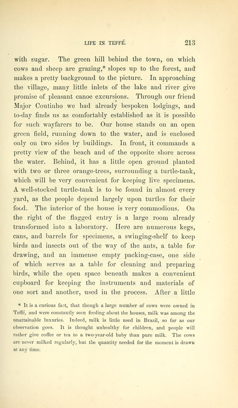 with sugar. The green hill behind the town, on which cows and sheep are grazing,* slopes up to the forest, and makes a pretty background to the picture. In approaching the village, many little inlets of the lake and river give promise of pleasant canoe excursions. Through our friend Major Coutinho we had already bespoken lodgings, and to-day finds us as comfortably established as it is possible for such wayfarers to be. Our house stands on an open green field, running down to the water, and is enclosed only on two sides by buildings. In front, it commands a pretty view of the beach and of the opposite shore across the water. Behind, it has a little open ground planted with two or three orange-trees, surrounding a turtle-tank, which will be very convenient for keeping live specimens. A well-stocked turtle-tank is to be found in almost every yard, as the people depend largely upon turtles for their food. The interior of the house is very commodious. On the right of the flagged entrj^ is a large room already transformed into a laboratory. Here are numerous kegs, cans, and barrels for specimens, a swinging-shelf to keep birds and insects out of the way of the ants, a table for drawing, and an immense empty packing-case, one side of which serves as a table for cleaning and preparing birds, while the open space beneath makes a convenient cupboard for keeping the instruments and materials of one sort and another, used in the process. After a little * It is a curious fact, that though a large number of cows were owned in Teffe, and were constantly seen feeding about the houses, milk was among the unattainable luxuries. Indeed, milk is little used in Brazil, so far as our observation goes. It is thought unhealthy for children, and people will rather give coffee or tea to a two-year-old baby than pure milk. The cows are never milked regularly, but the quantity needed for the moment is drawn at any time.