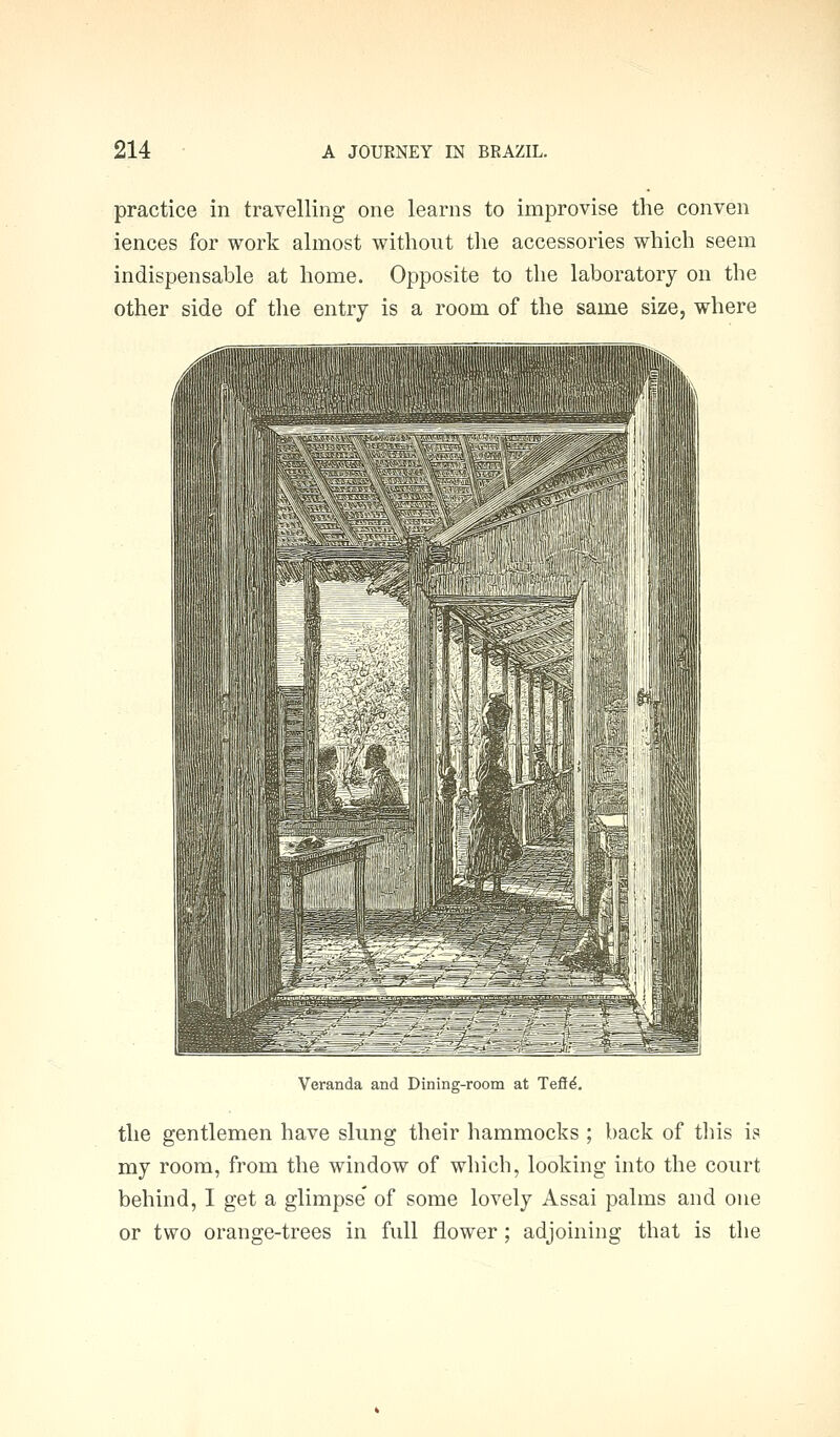 practice in travelling one learns to improvise the conven iences for work almost without the accessories which seem indispensable at home. Opposite to the laboratory on the other side of tlie entry is a room of the same size, where Veranda and Dining-room at Tefl^, the gentlemen have slung their hammocks ; back of tliis is my room, from the window of which, looking into the court behind, I get a glimpse' of some lovely Assai palms and one or two orange-trees in full flower; adjoining that is the