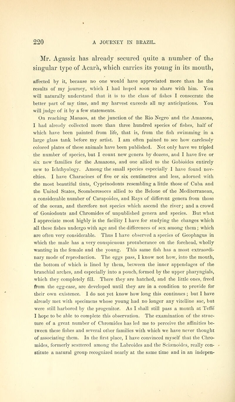 Mr. Agassiz has already secured quite a number of tlid igular type of Acara, which carries its young in its mouth, affected by it, because no one would have appreciated more than he the results of my journey, which I had hoped soon to share with him. You will naturally understand that it is to the class of fishes I consecrate the better part of my time, and my harvest exceeds all my anticipations. You will judge of it by a few statements. On reaching Manaos, at the junction of the Rio Negro and the Amazons, I had already collected more than three hundred species of fishes, half of which have been painted from life, that is, from the fish swimming in a large glass tank before my artist. I am often pained to see how carelessly colored plates of these animals have been published. Not only have we tripled the number of species, but I count new genera by dozens, and I have five or six new families for the Amazons, and one allied to the Gobioides entirely new to Ichthyology. Among the small species especiall}' I have found nov- elties. I have Characines of five or six centimetres and less, adorned with the most beautiful tints, Cyprinodonts resembling a little those of Cuba and the United States, Scomberesoces allied to the Belone of the Mediterranean, a considerable number of Carapoides, and Rays of different genera from those of the ocean, and therefore not species which ascend the river; and a crowd of Goniodonts and Chromides of unpublished genera and species. But what I appreciate most highly is the facility I have for studying the changes which all these fishes undergo with age and the differences of sex among them; which are often very considerable. Thus I have observed a species of Geophagus in which the male has a very conspicuous protuberance on the forehead, wholly wanting in the female and the young. This same fish has a most extraordi- nary mode of reproduction. The eggs pass, I know not how, into the mouth, the bottom of which is lined by them, between the inner appendages of the branchial arches, and especially into a pouch, formed by the upper pharyngials, which they completely fill. Tliere they are hatched, and the little ones, freed from the egg-case, are developed until they are in a condition to provide for their own existence. I do not yet know how long this continues; but I have already met with specimens whose young had no longer any vitelline sac, but were still harbored by the progenitor. As I shall still pass a month at Teffe I hope to be able to complete this observation. The examination of the struc- ture of a gi-eat number of Chromides has led me to perceive the affinities be- tween these fishes and several other families with which we have never thought of associating them. In the first place, I have convinced myself that the Chro- mides, formerly scattered among the Labroides and the Sciajnoides, really con- stitute a natural group recognized nearly at the same time and in an iudepen-