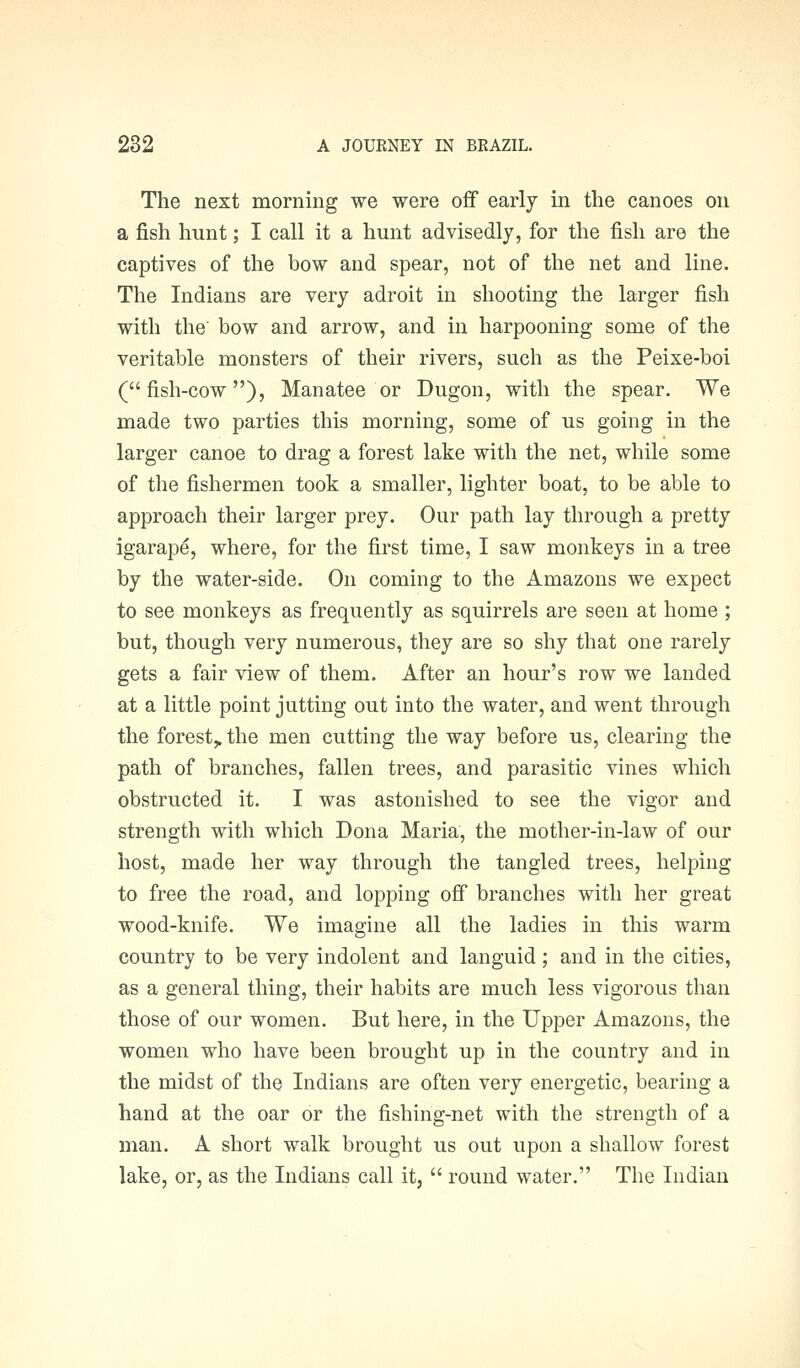 The next morning we were off early in the canoes on a fish hunt; I call it a hunt advisedly, for the fish are the captives of the bow and spear, not of the net and line. The Indians are very adroit in shooting the larger fish with the bow and arrow, and in harpooning some of the veritable monsters of their rivers, such as the Peixe-boi (fish-cow). Manatee or Dugon, with the spear. We made two parties this morning, some of us going in the larger canoe to drag a forest lake with the net, while some of the fishermen took a smaller, lighter boat, to be able to approach their larger prey. Our path lay through a pretty igarap^, where, for the first time, I saw monkeys in a tree by the water-side. On coming to the Amazons we expect to see monkeys as frequently as squirrels are seen at home ; but, though very numerous, they are so shy that one rarely gets a fair view of them. After an hour's row we landed at a little point jutting out into the water, and went through the forest,, the men cutting the way before us, clearing the path of branches, fallen trees, and parasitic vines which obstructed it. I was astonished to see the vigor and strength with which Dona Maria, the mother-in-law of our host, made her way through the tangled trees, helping to free the road, and lopping off branches with her great wood-knife. We imagine all the ladies in this warm country to be very indolent and languid; and in the cities, as a general thing, their habits are much less vigorous than those of our women. But here, in the Upper Amazons, the women who have been brought up in the country and in the midst of the Indians are often very energetic, bearing a hand at the oar or the fishing-net with the strength of a man. A short walk brought us out upon a shallow forest lake, or, as the Indians call it,  round water. The Indian