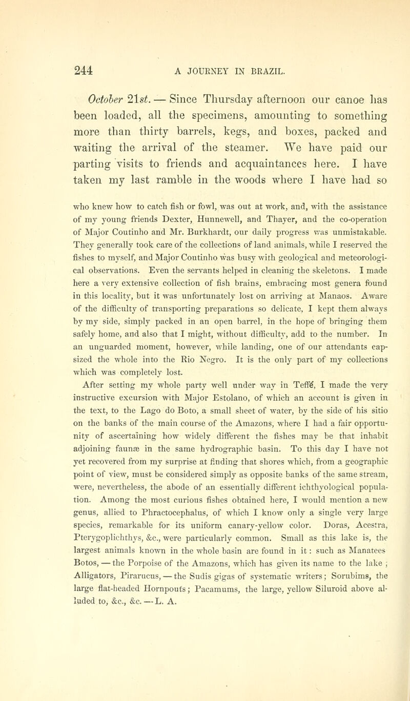 October list. — Since Thursday afternoon our canoe lias been loaded, all the specimens, amounting to something more than thirty barrels, kegs, and boxes, packed and waiting the arrival of the steamer. We have paid our parting visits to friends and acquaintances here. I have taken my last ramble in the woods where I have had so who knew how to catch fish or fowl, was out at work, and, with the as&istanee of my young friends Dexter, Hunnewell, and Thayer, and the co-operation of Major Coutinho and Mr. Burkhardt, our daily progress was unmistakable. They generally took care of the collections of land animals, while I reserved the fishes to myself, and Major Coutinho was busy with geological and meteorologi- cal observations. Even the servants helped in cleaning the skeletons. I made here a very extensive collection of fish brains, embracing most genera found in this locality, but it was unfortunately lost on arriving at Manaos. Aware of the ditiictilty of transporting preparations so delicate, I kept them always by my side, simply packed in an open barrel, in the hope of bringing them safely home, and also that I might, without difficulty, add to the number. In an unguarded moment, however, while landing, one of our attendants cap- sized the whole into the Rio Negro. It is the only part of my collections which was completely lost. After setting my whole party well under way in Tefi^, I made the very instructive excursion with Major Bstolano, of which an account is given in the text, to the Lago do Boto, a small sheet of water, by the side of his sitio on the banks of the main course of the Amazons, where I had a fair opportu- nity of ascertaining how widely different the fishes may be that inhabit adjoining faun£e in the same hydrographic basin. To this day I have not yet recovered from my surprise at finding that shores which, from a geographic point of view, must be considered simply as opposite banks of the same stream, were, nevertheless, the abode of an essentially different ichthyological popula- tion. Among the most curious fishes obtained here, I would mention a new genus, allied to Phractocephalus, of which I know only a single very large species, remarkable for its uniform canary-yellow color. Doras, Acestra, Pterygoplichthys, &c., were particularly common. Small as this lake is, the largest animals known in the whole basin are found in it: such as Manatees Botos, — the Porpoise of the Amazons, which has given its name to the lake ; Alligators, Pirarucus, — the Sudis gigas of systematic writers; Sorubims, the large flat-headed Hornpouts; Pacamums, the large, yellow Siluroid above al- luded to, &c., &c, —L. A.