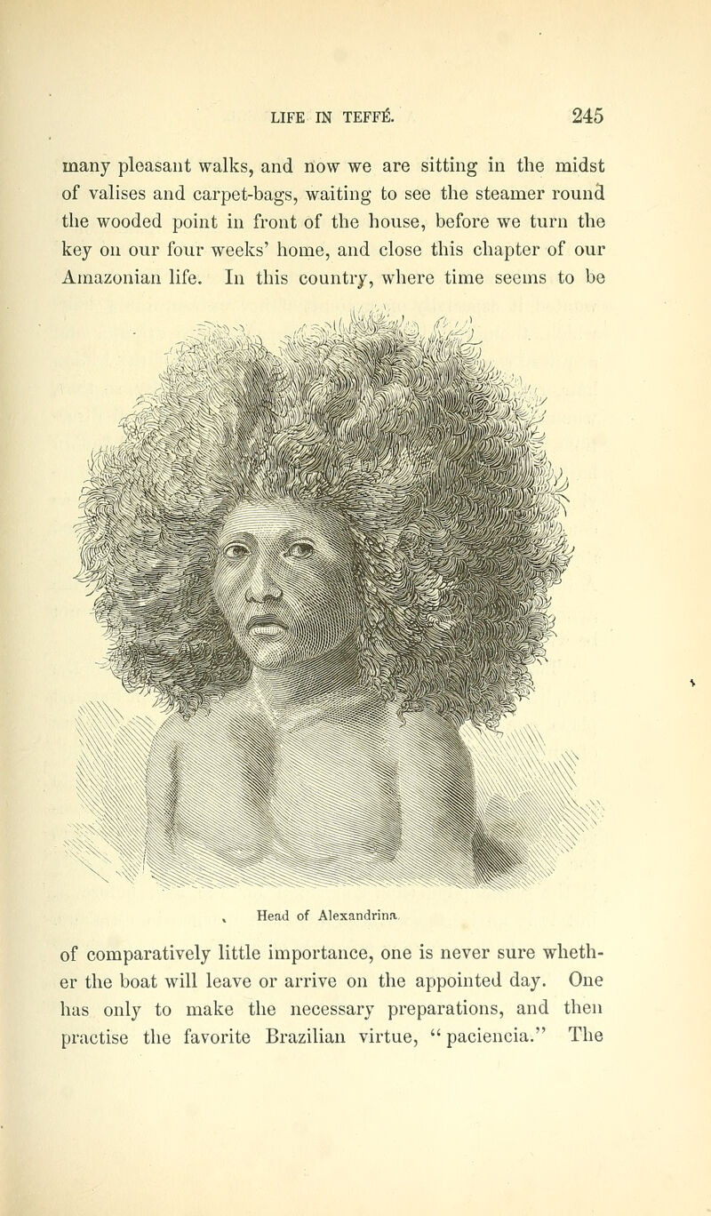 many pleasant walks, and now we are sitting in the midst of valises and carpet-bags, waiting to see the steamer round the wooded point in front of the house, before we turn the key on our four weeks' home, and close this chapter of our Amazonian life. In this country, where time seems to be Head of Alexandrina of comparatively little importance, one is never sure wheth- er the boat will leave or arrive on the appointed day. One has only to make the necessary preparations, and then practise the favorite Brazilian virtue,  paciencia. The